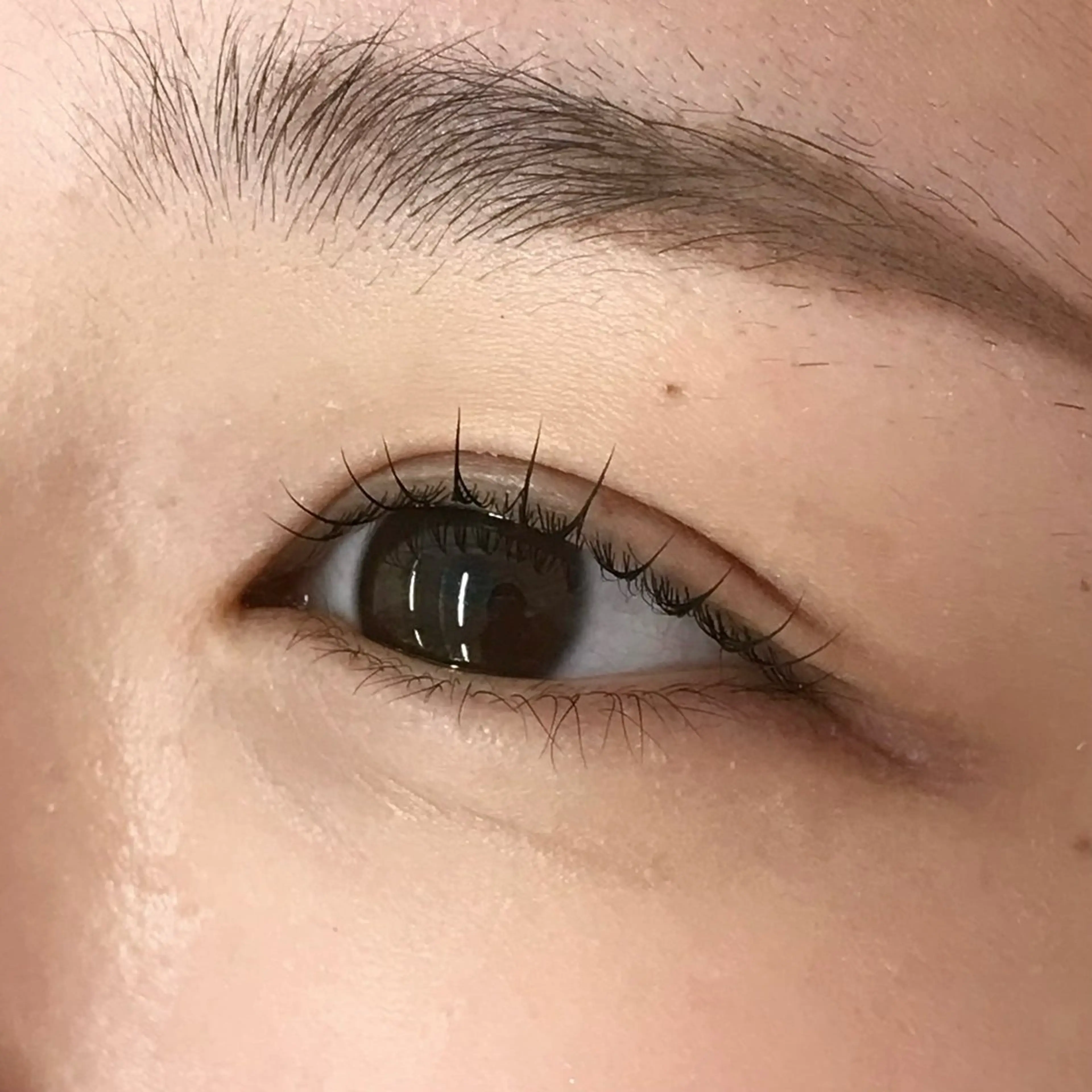 マツエク・マツパ uland yuzukiの眉毛・アイブロウイメージ