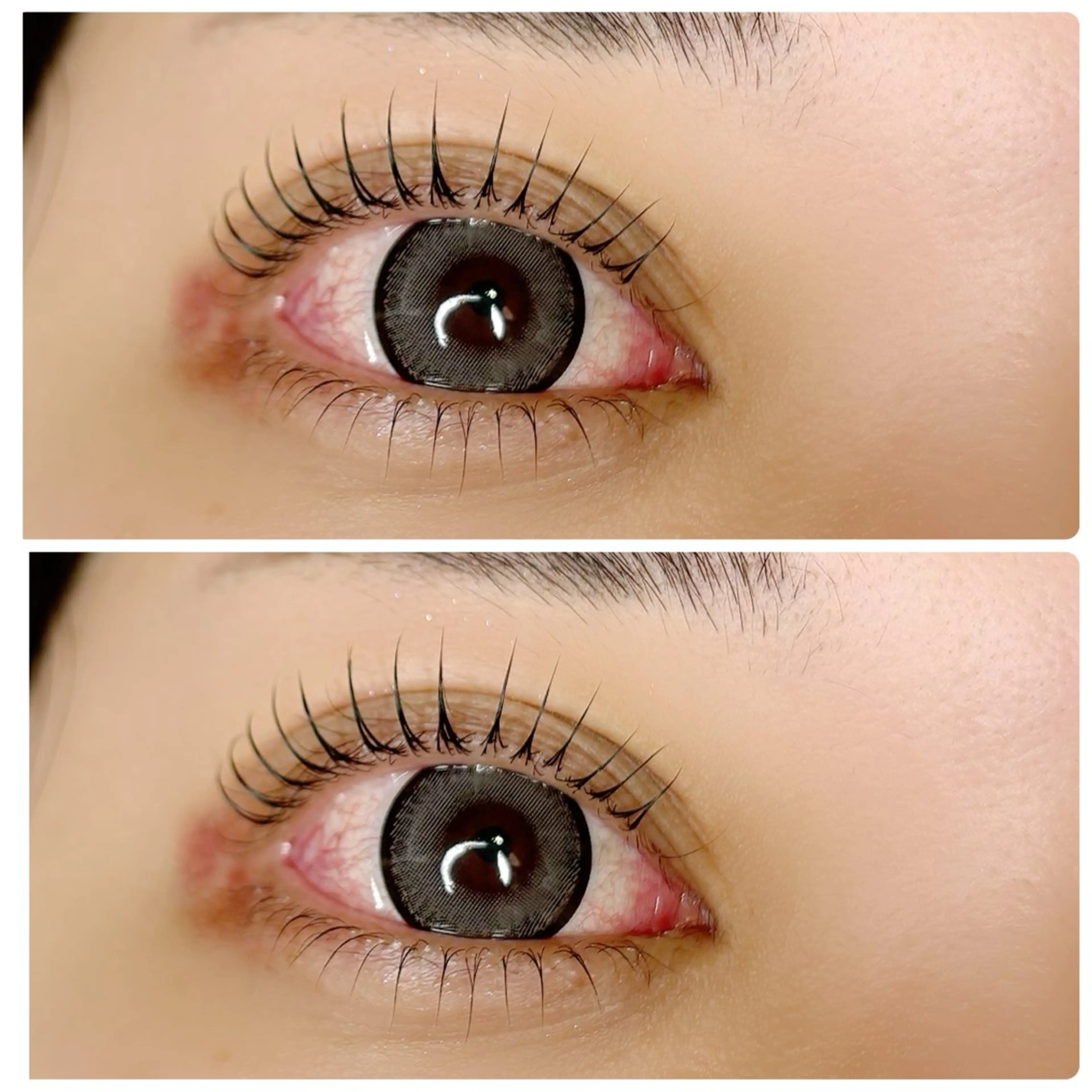 《上下パリジェンヌラッシュリフトorまつ毛パーマ》¥9900/天神の写真