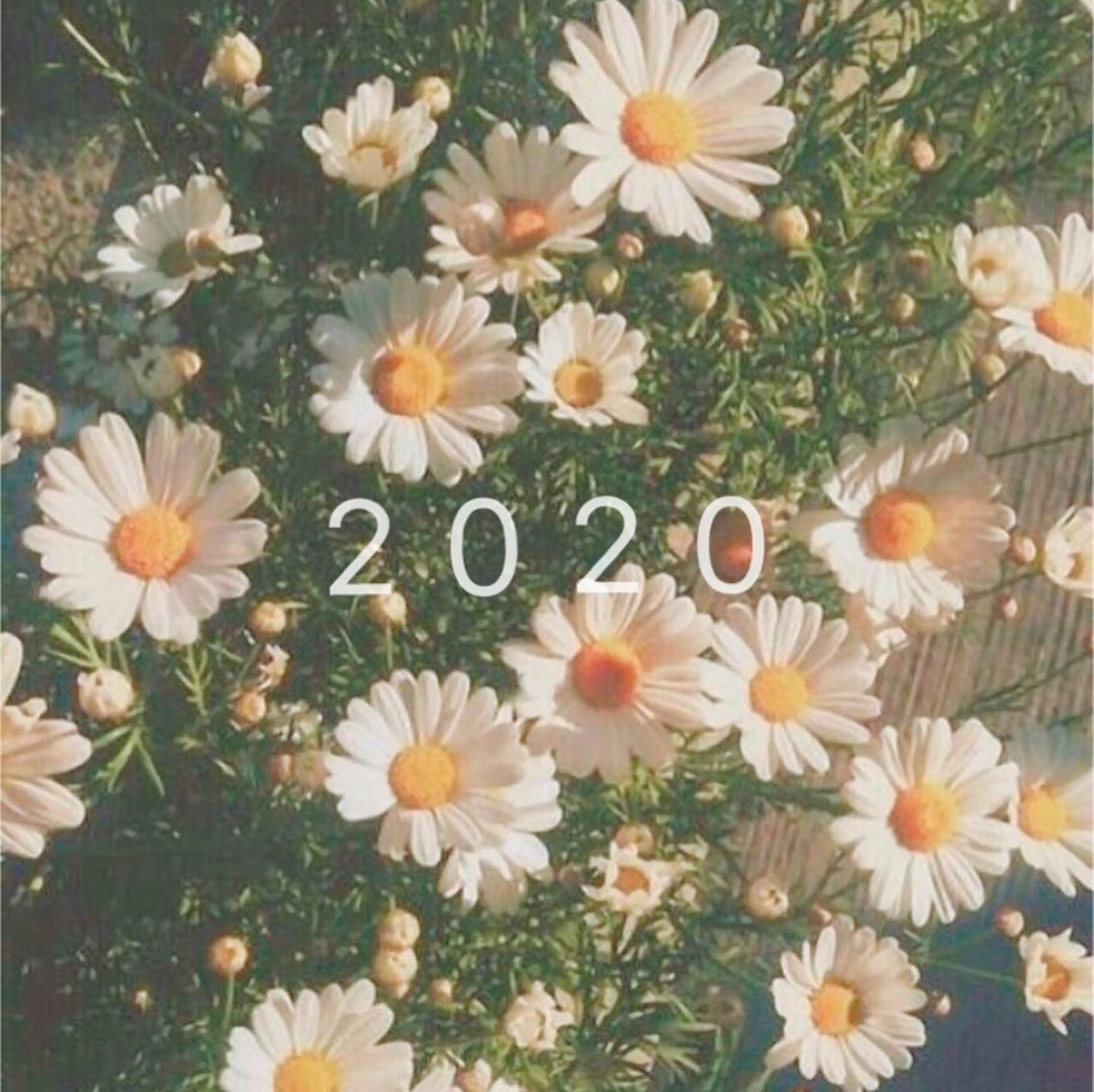 マツエク・マツパ ora'93~hair&eyelash~所属・平井 千佳の眉毛・アイブロウイメージ