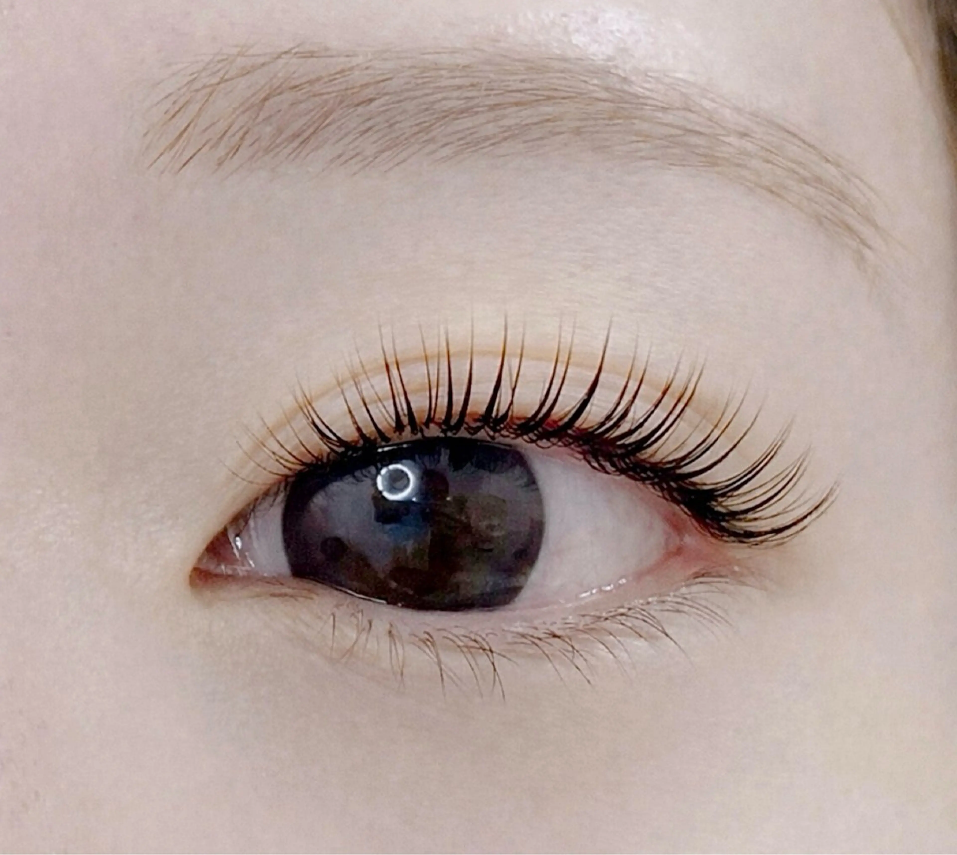 ✨フラットラッシュ60本(オフ込)✨コーティング付💎の写真