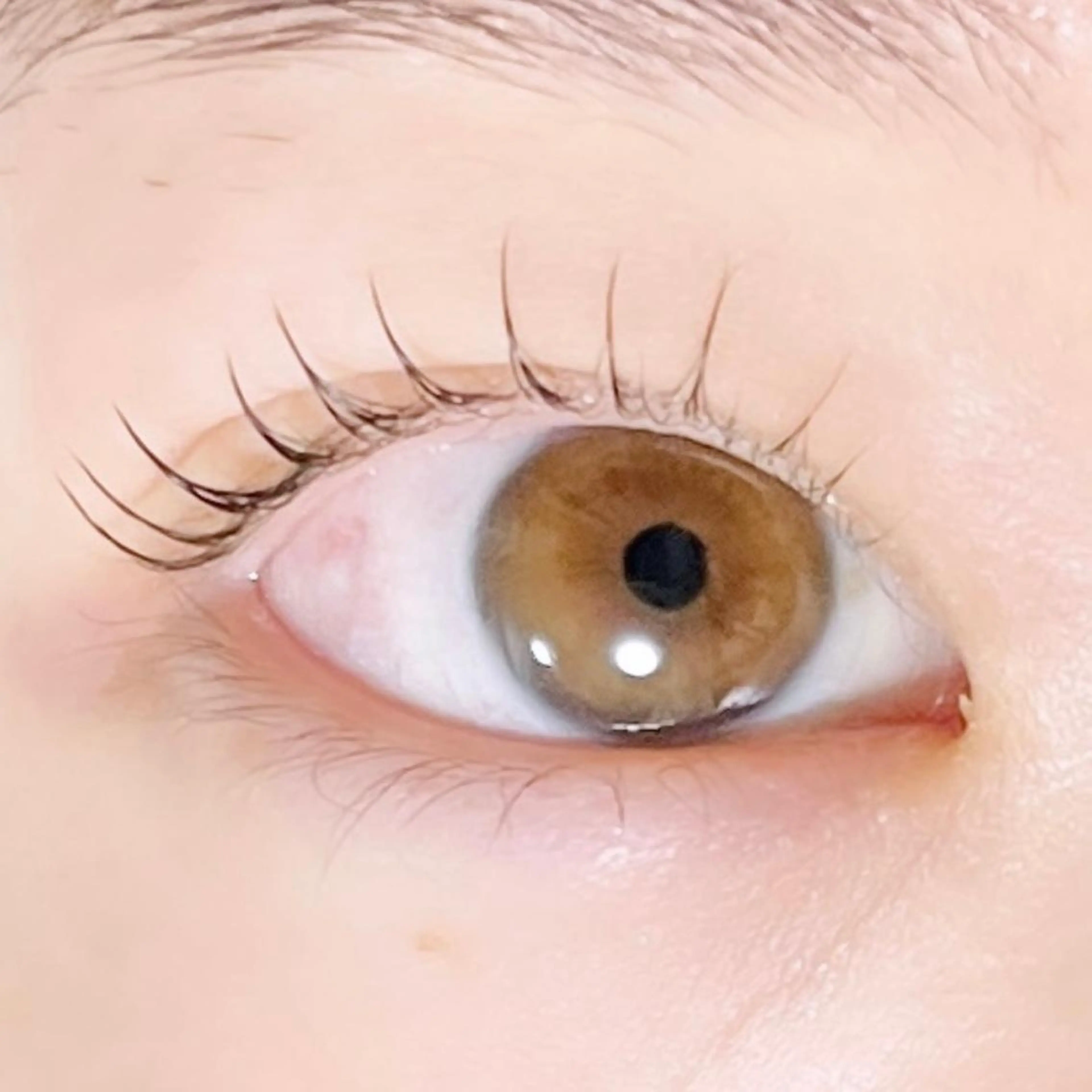 マツエク・マツパ TAKEO🖤 マリーテレジア藤が丘のマツエク・マツパデザイン