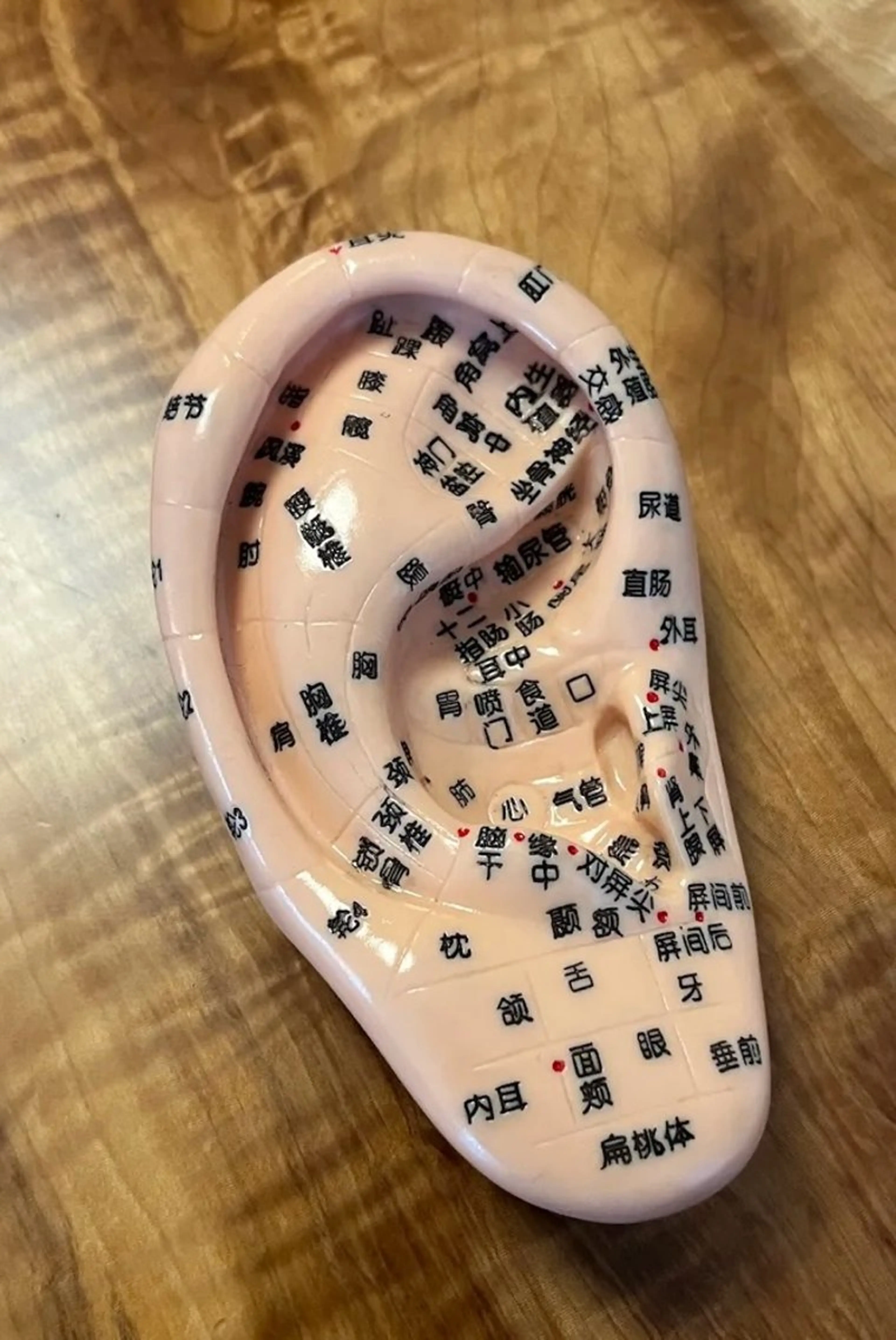 〔その他〕耳ツボジュエリーの写真