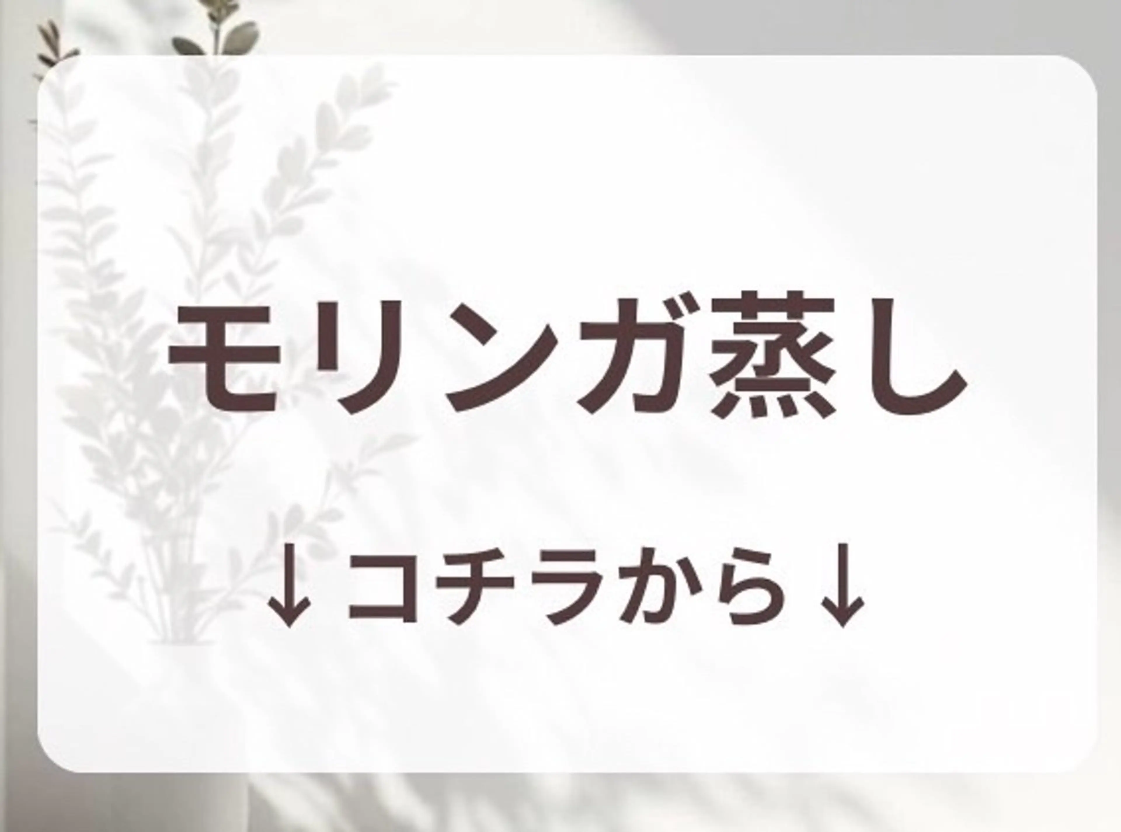 カテゴリ表示の写真