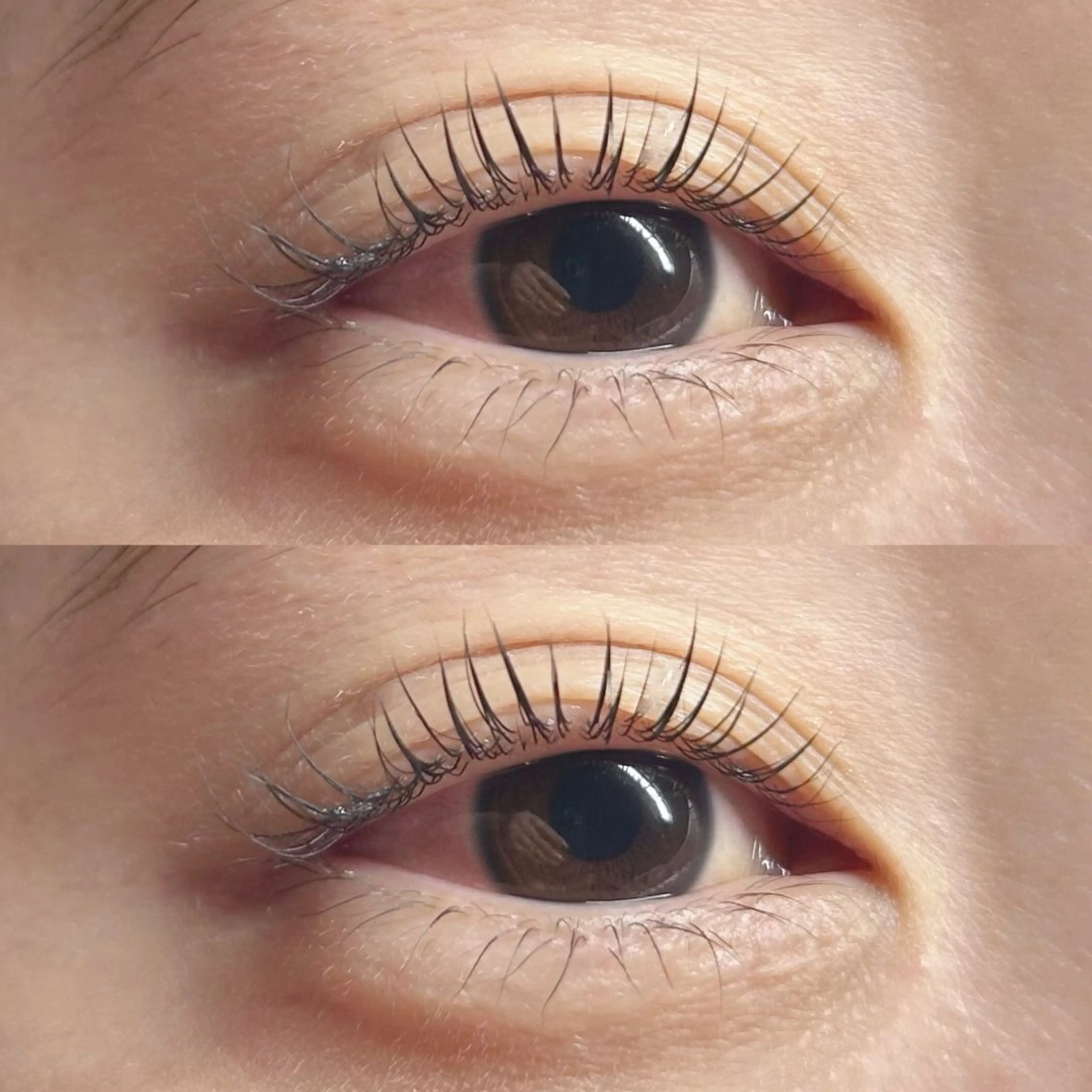 🤍【平日限定価格】上下まつ毛パーマ🤍の写真