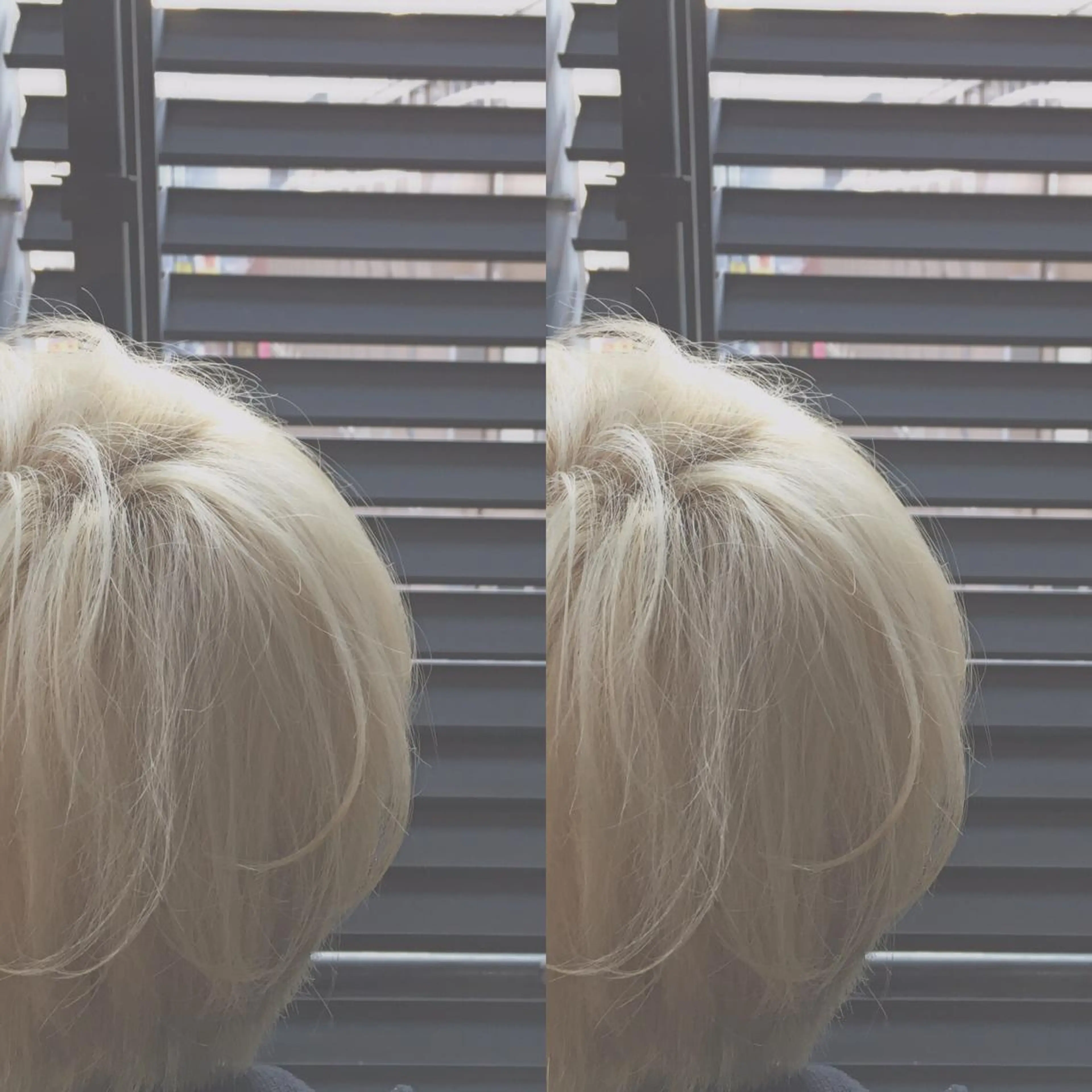 ショート 🌸ハイトーン 新田　廉 🌸のヘアスタイル