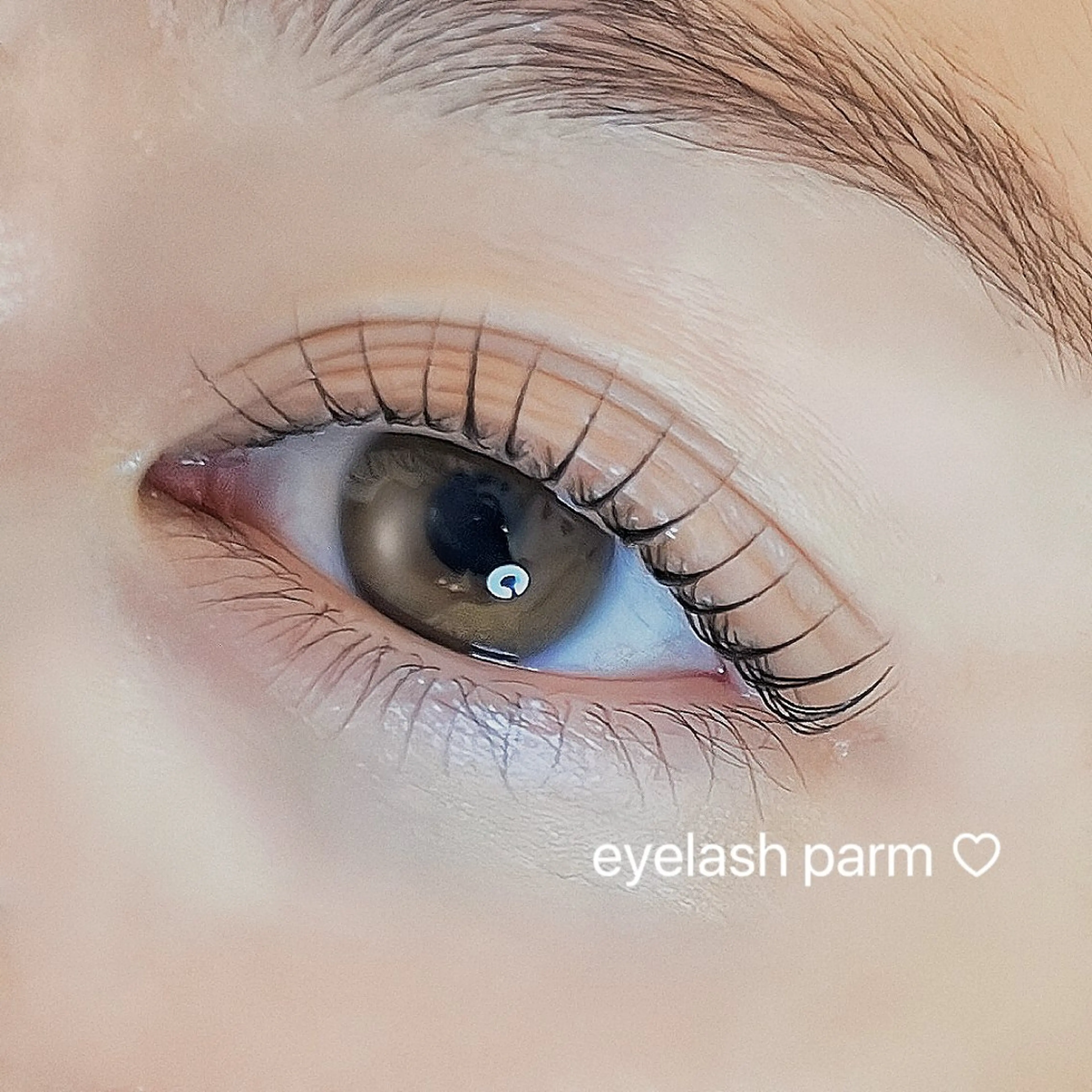 マツエク・マツパ Largo🌿 明治神宮前／表参道のマツエク・マツパデザイン