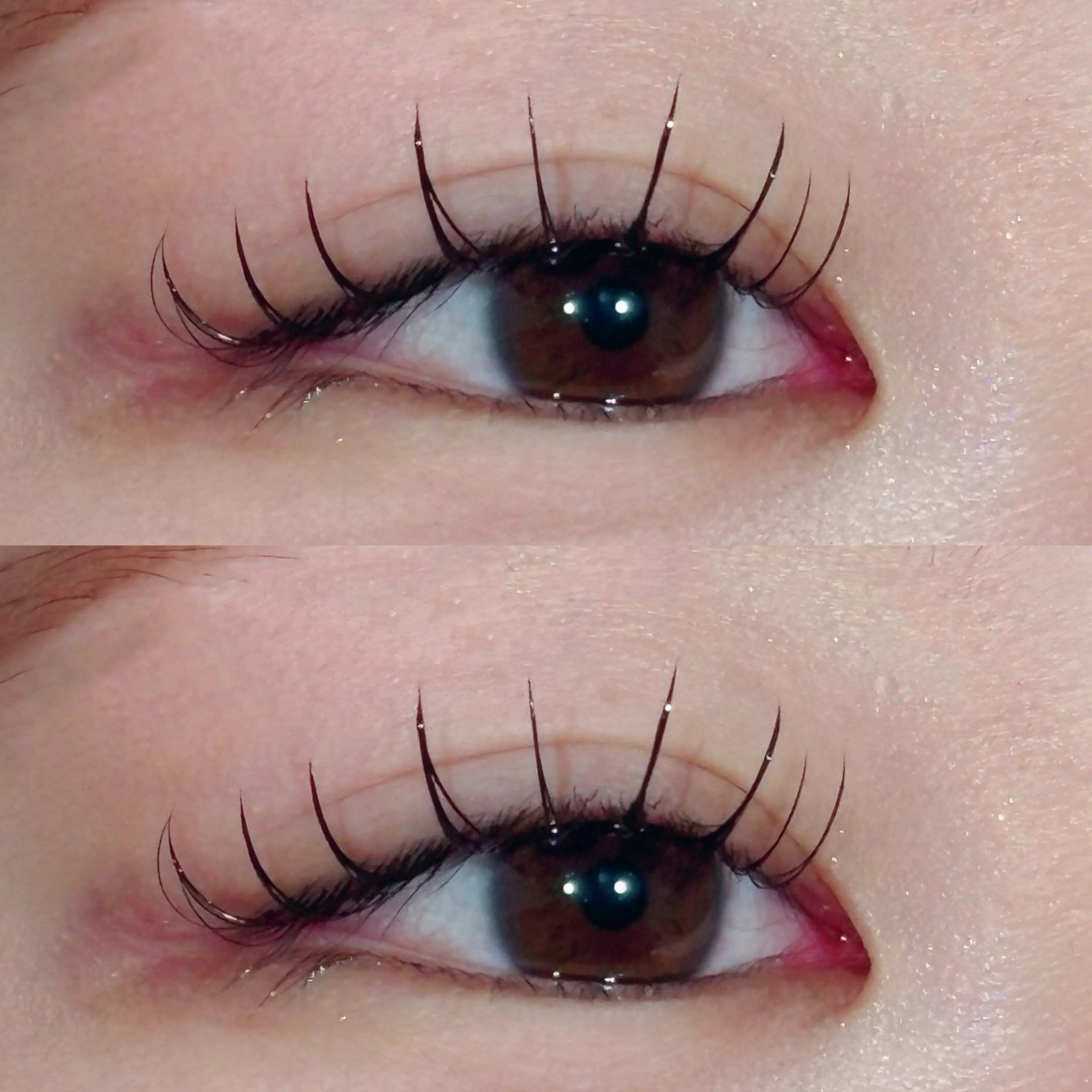 ʚ🎀ɞ新規限定ʚ🎀ɞミンク80本まで付け放題(オフ、コーティング込み)🤍の写真