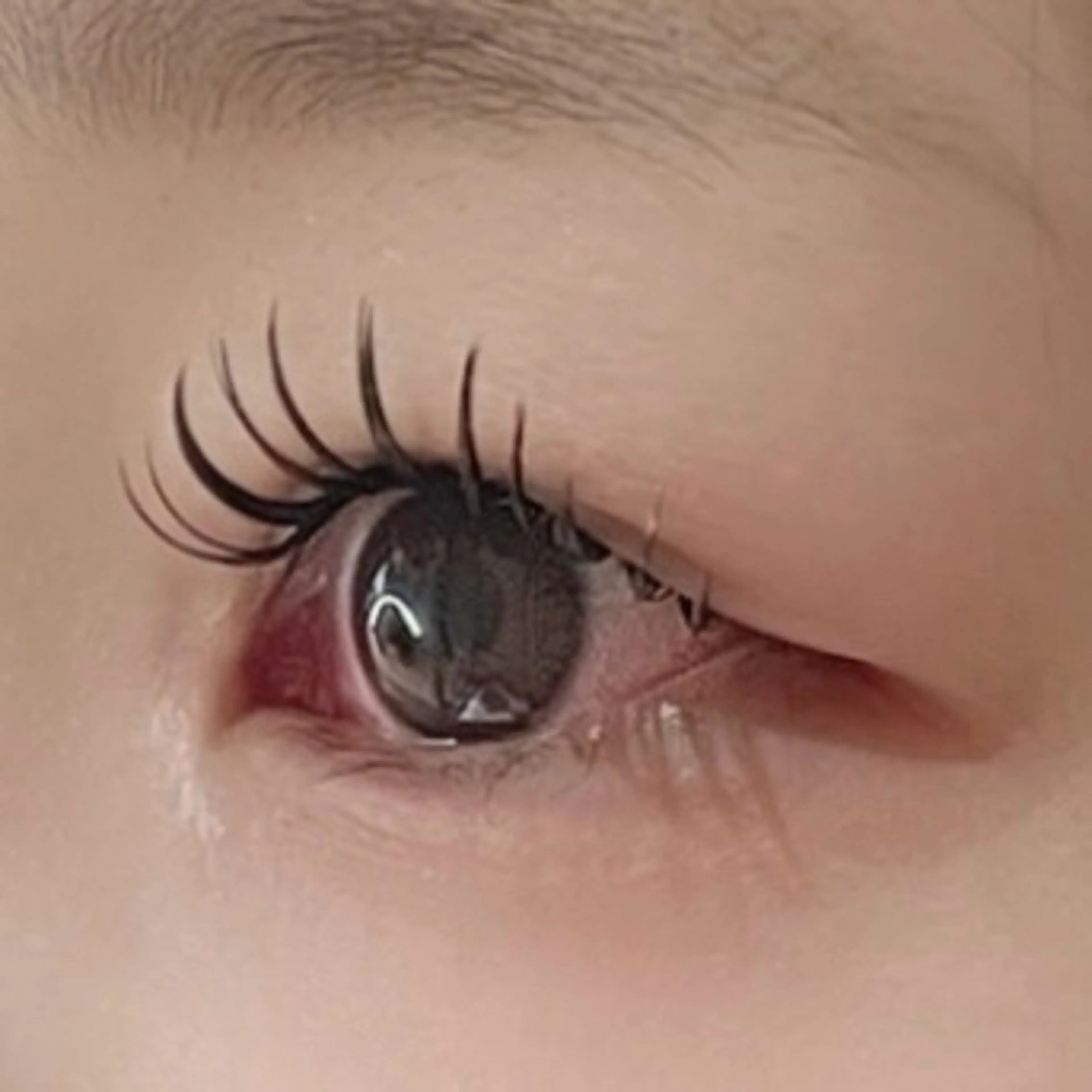 マツエク・マツパ マツパ/髪質改善/ ラベゼ岩倉のマツエク・マツパデザイン