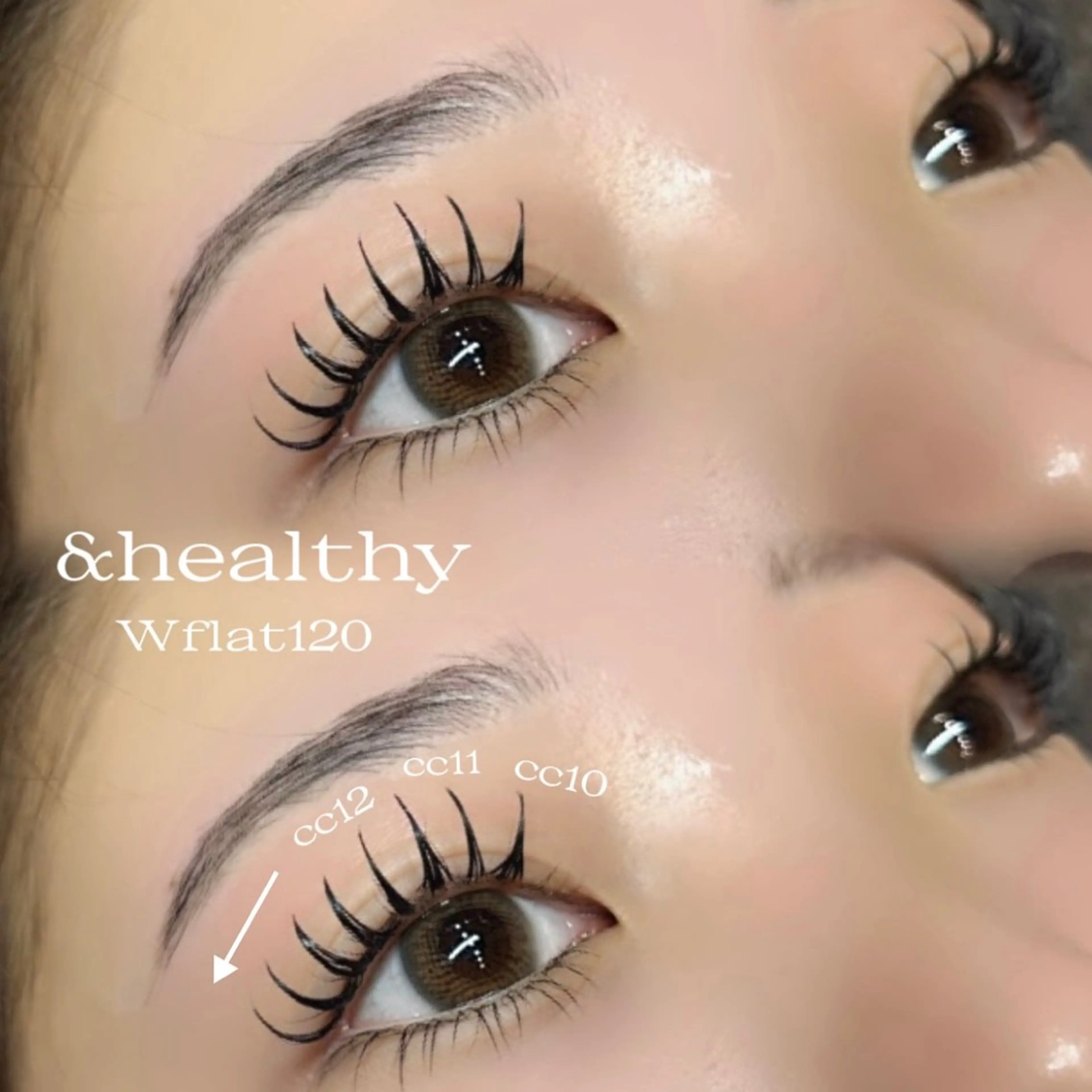 【口コミ特典割☆】アンドヘルシー×バインドロックorダブルフラット80束の写真