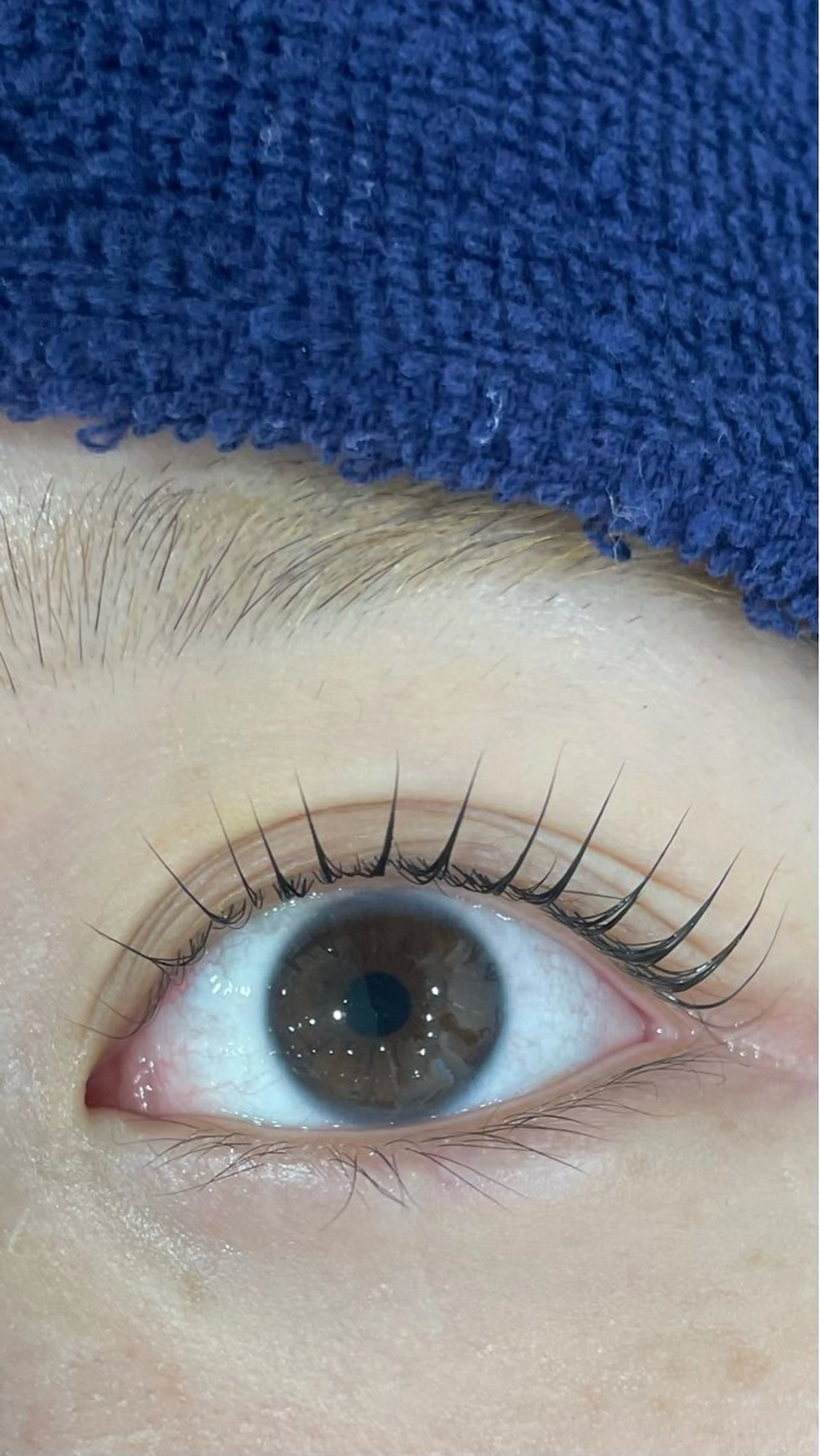 マツエク・マツパ ナチュラル パリジェンヌラッシュリフト 一重×まつ毛パーマ Eyelist konokaのマツエク・マツパデザイン