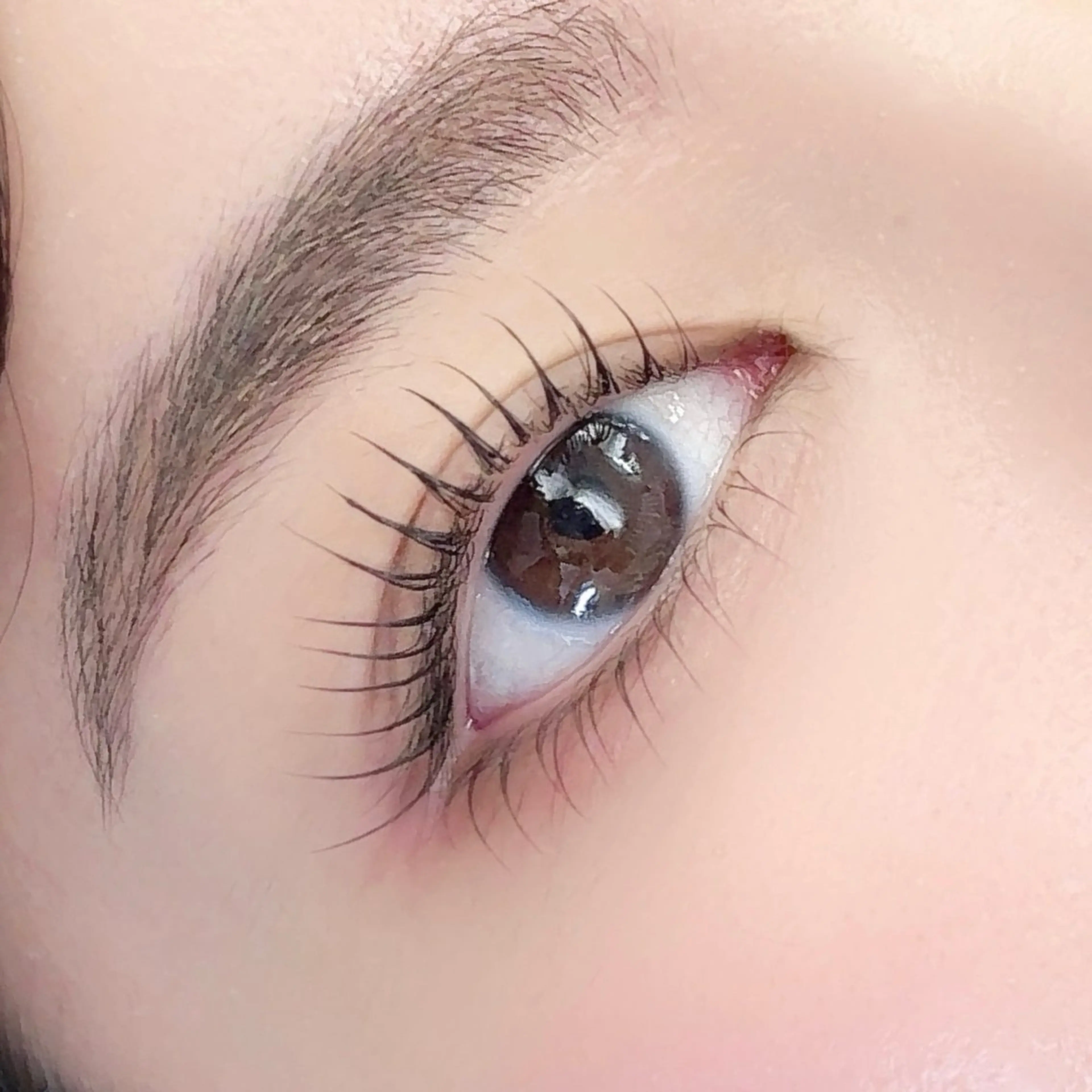 上まつげパーマ🫧選べるデザイン🩵6000円✨コーティング束感仕上げ💝アイシャンプー込🫧の写真