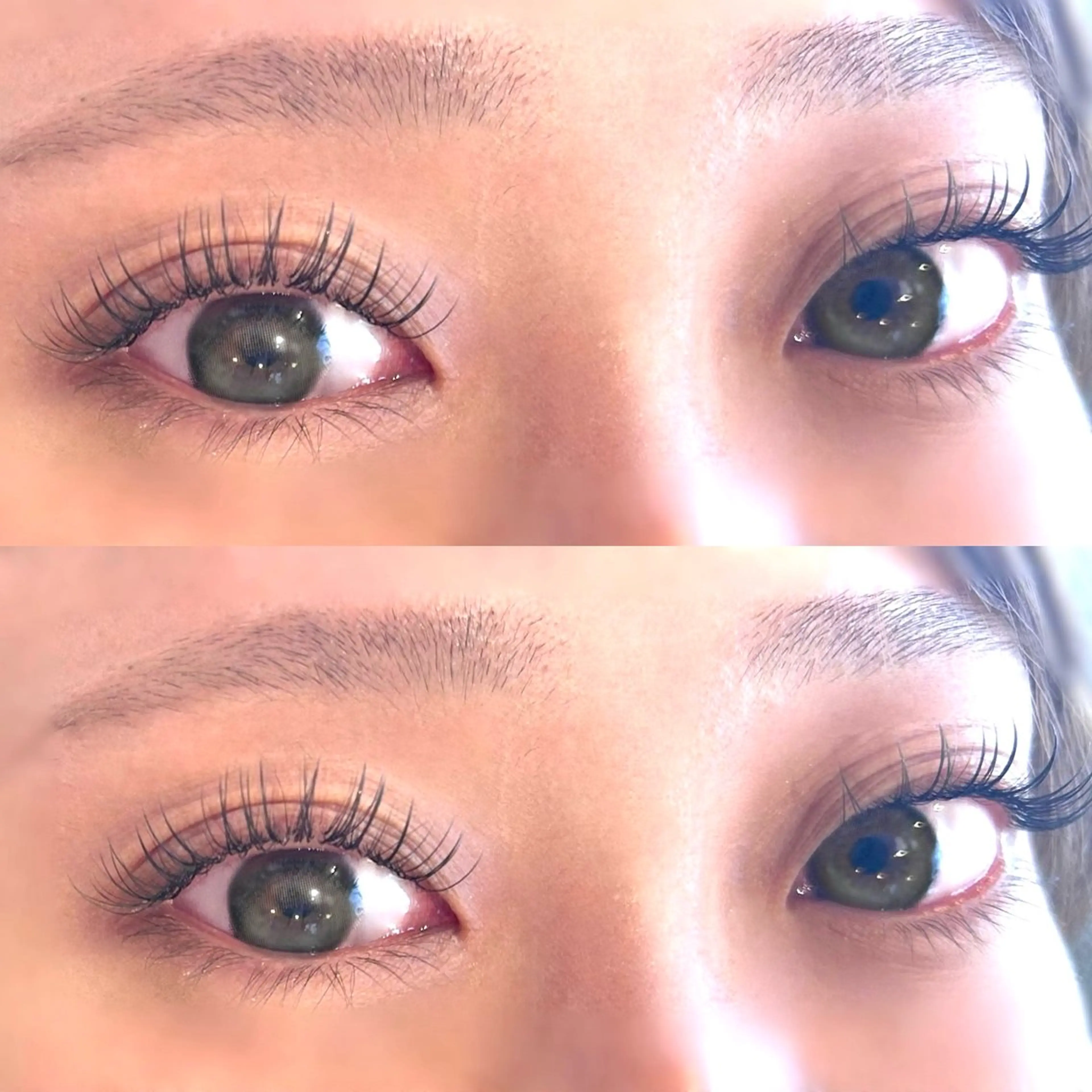 🌟ダブルフラットラッシュ100本の写真