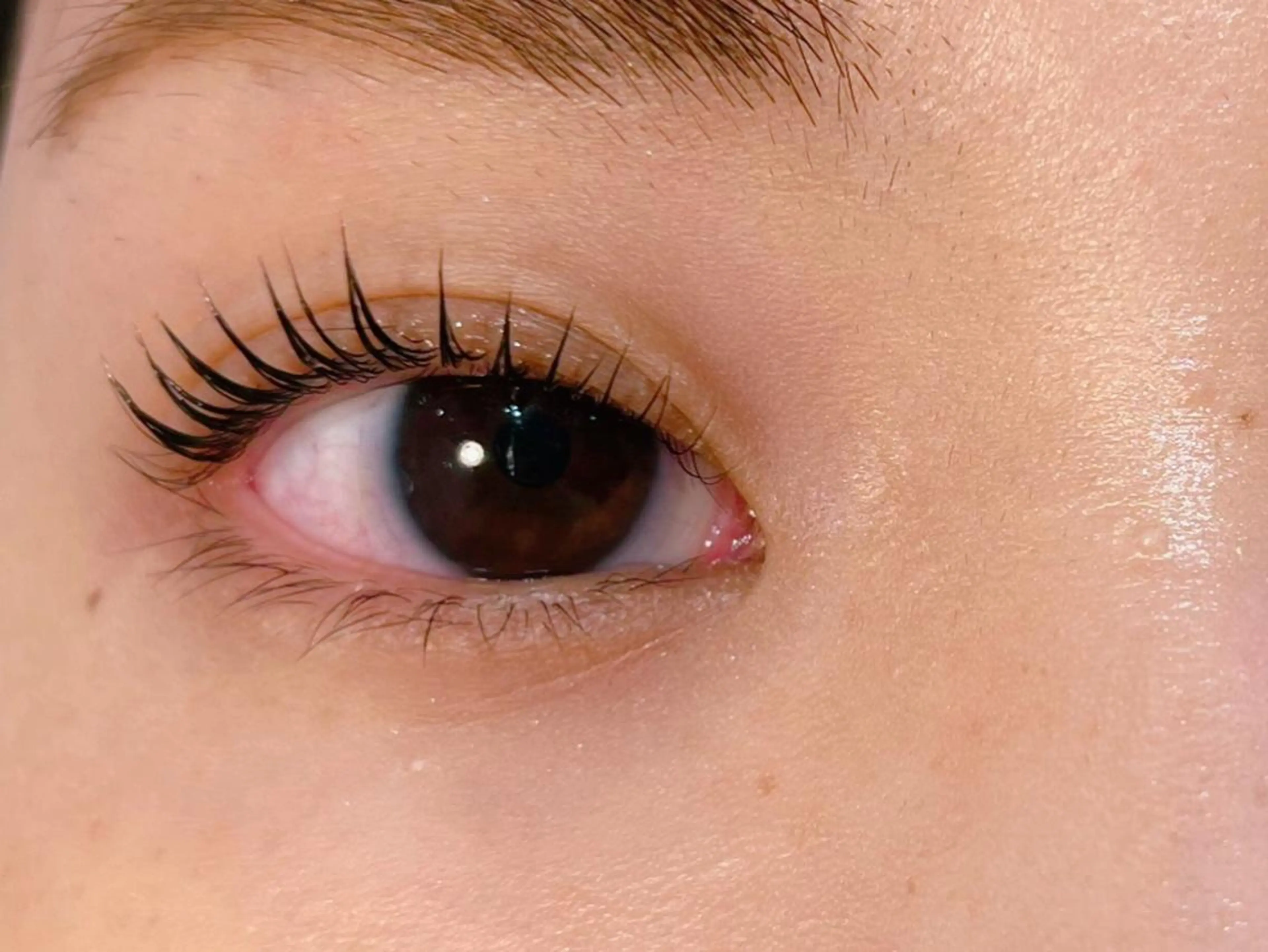 マツエク・マツパ 𝐞𝐢𝐠𝐡𝐭 MAO🖤の眉毛・アイブロウイメージ