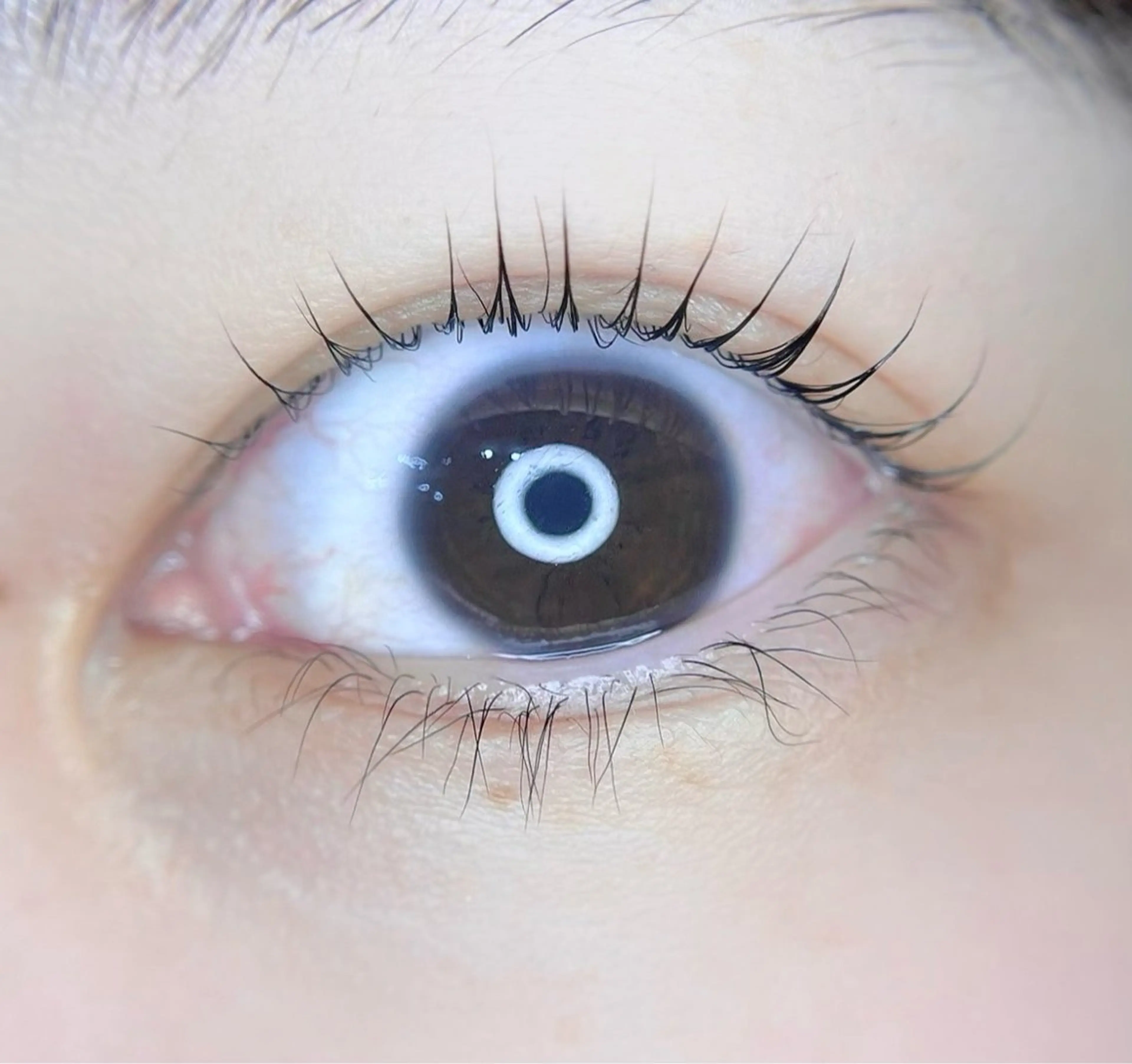 すぐ予約◎５月９日限定！まつげパーマモデル×コーティング付きの写真