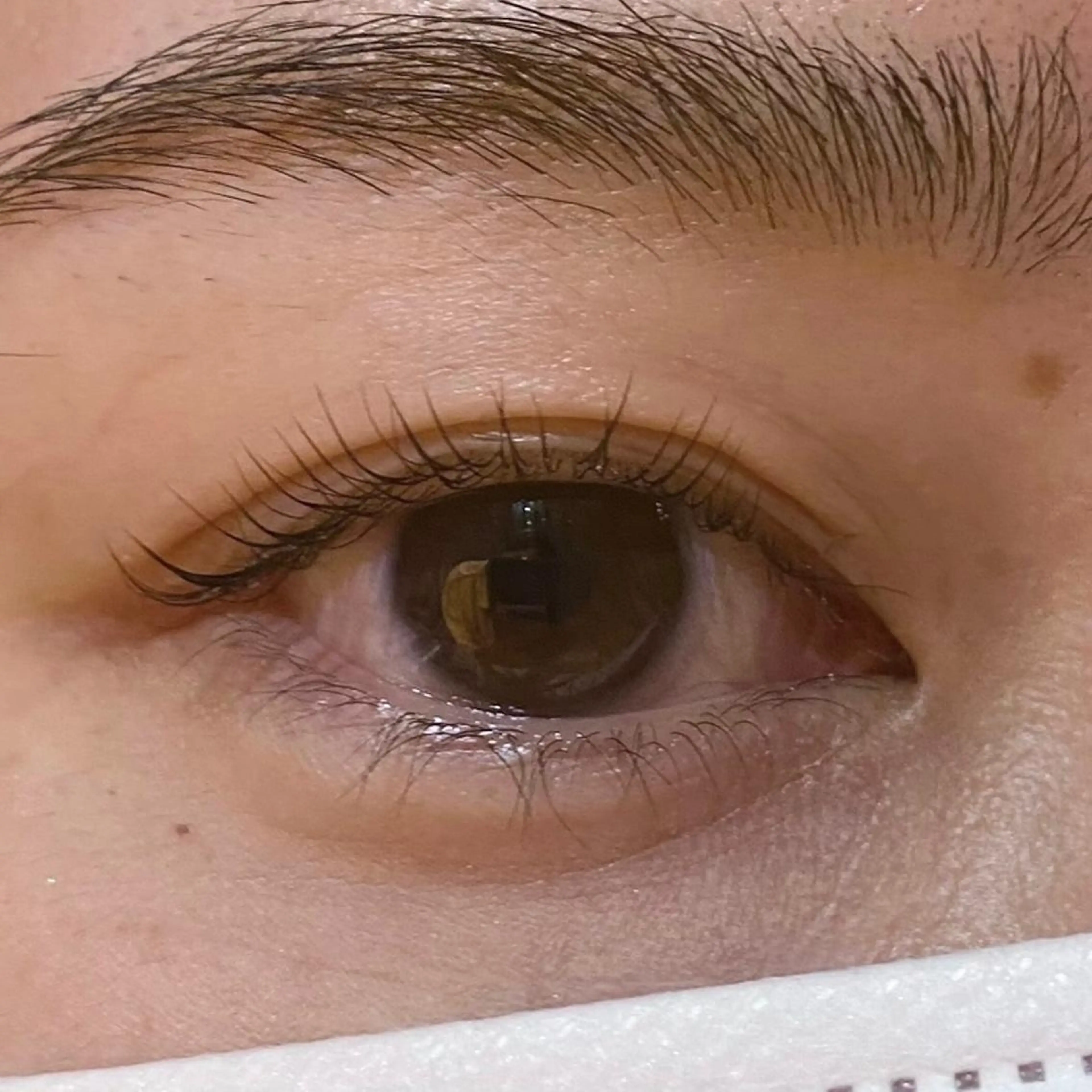 マツエク・マツパ 韓国風マツエク パリジェンヌラッシュリフト その他(アイブロウ) 𝙎𝙚𝙞𝙧𝙖 ☆カット/パーマのヘアスタイル