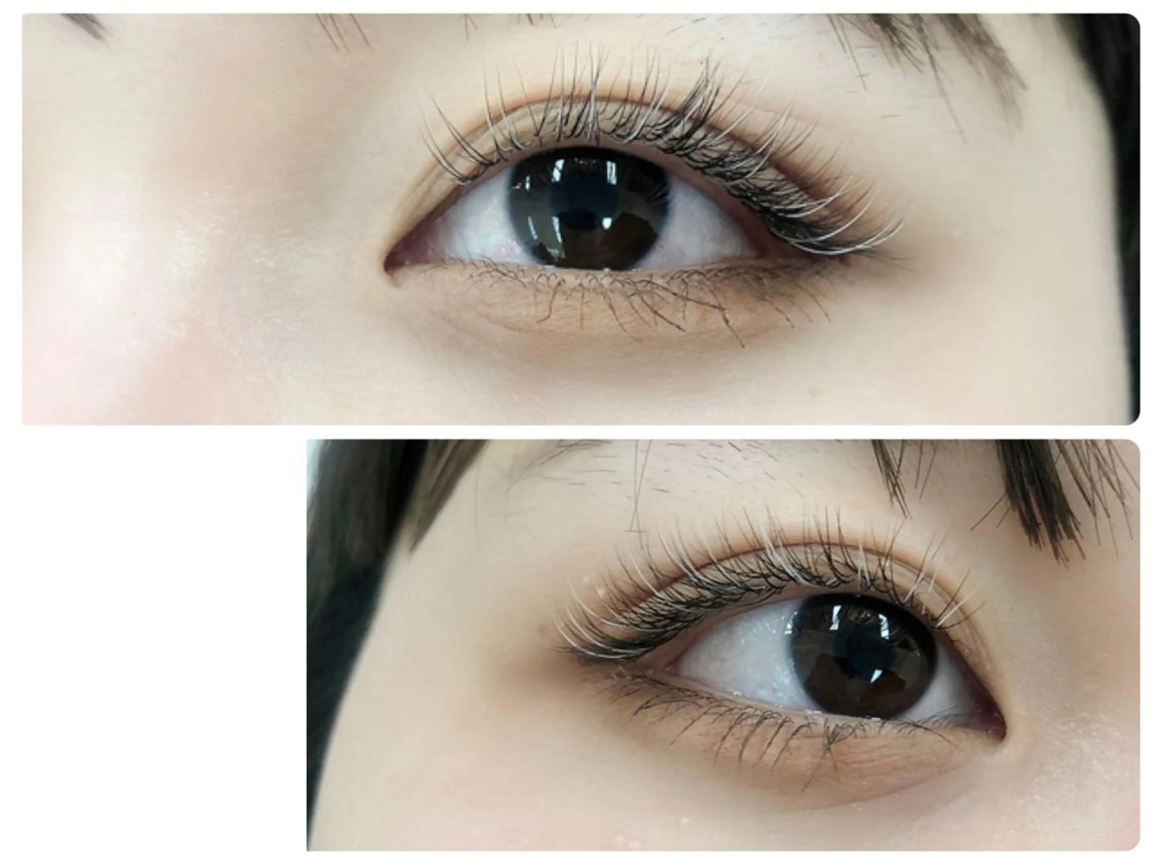 抜け感ブラウン🧸💛上付け放題♡フラットラッシュor最高級抗菌セーブルの写真