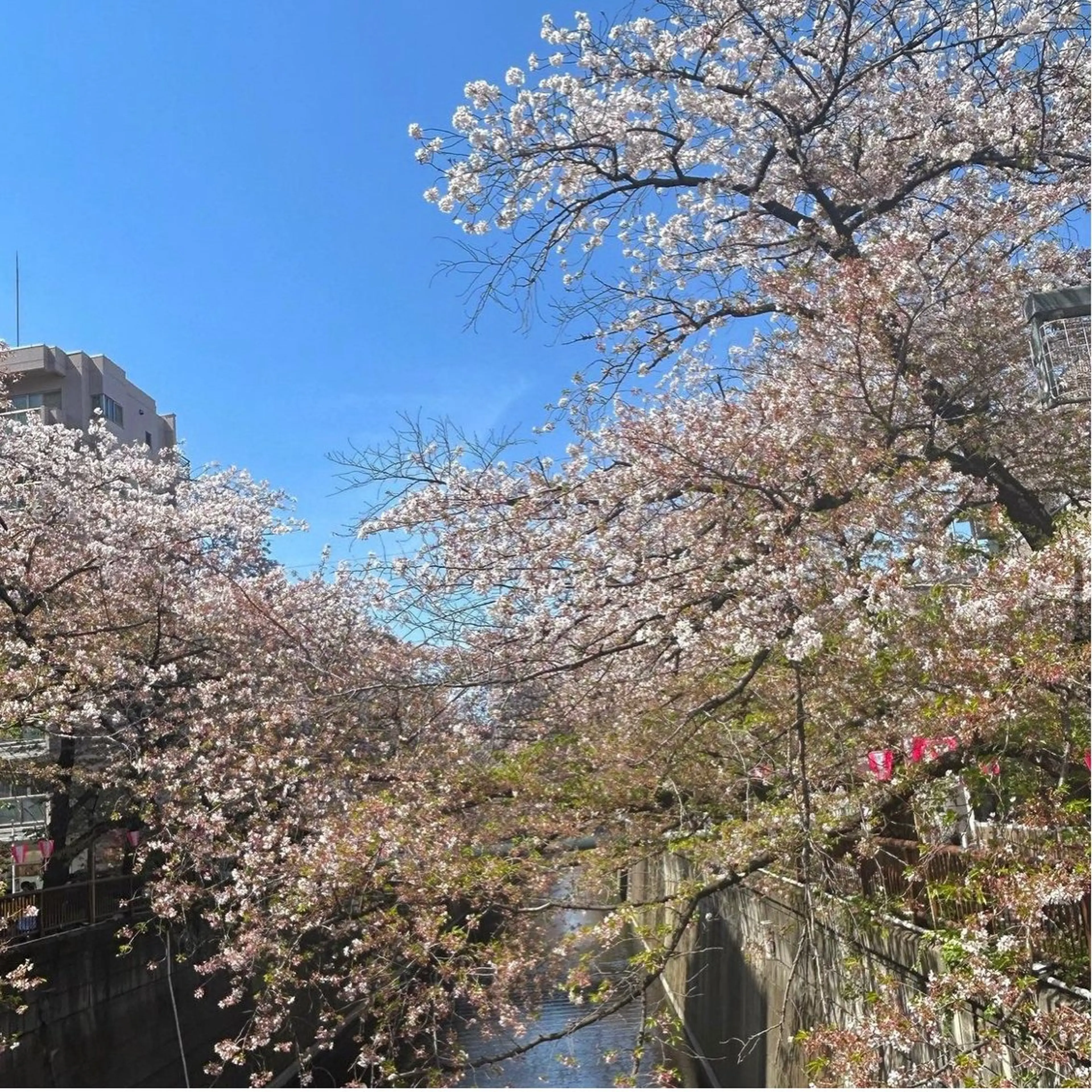 ミディアム カラー パーマ ヘアアレンジ GOTODAY SHAiRE SALON (原宿本店)所属・stylist 🎀 kanaのその他イメージ