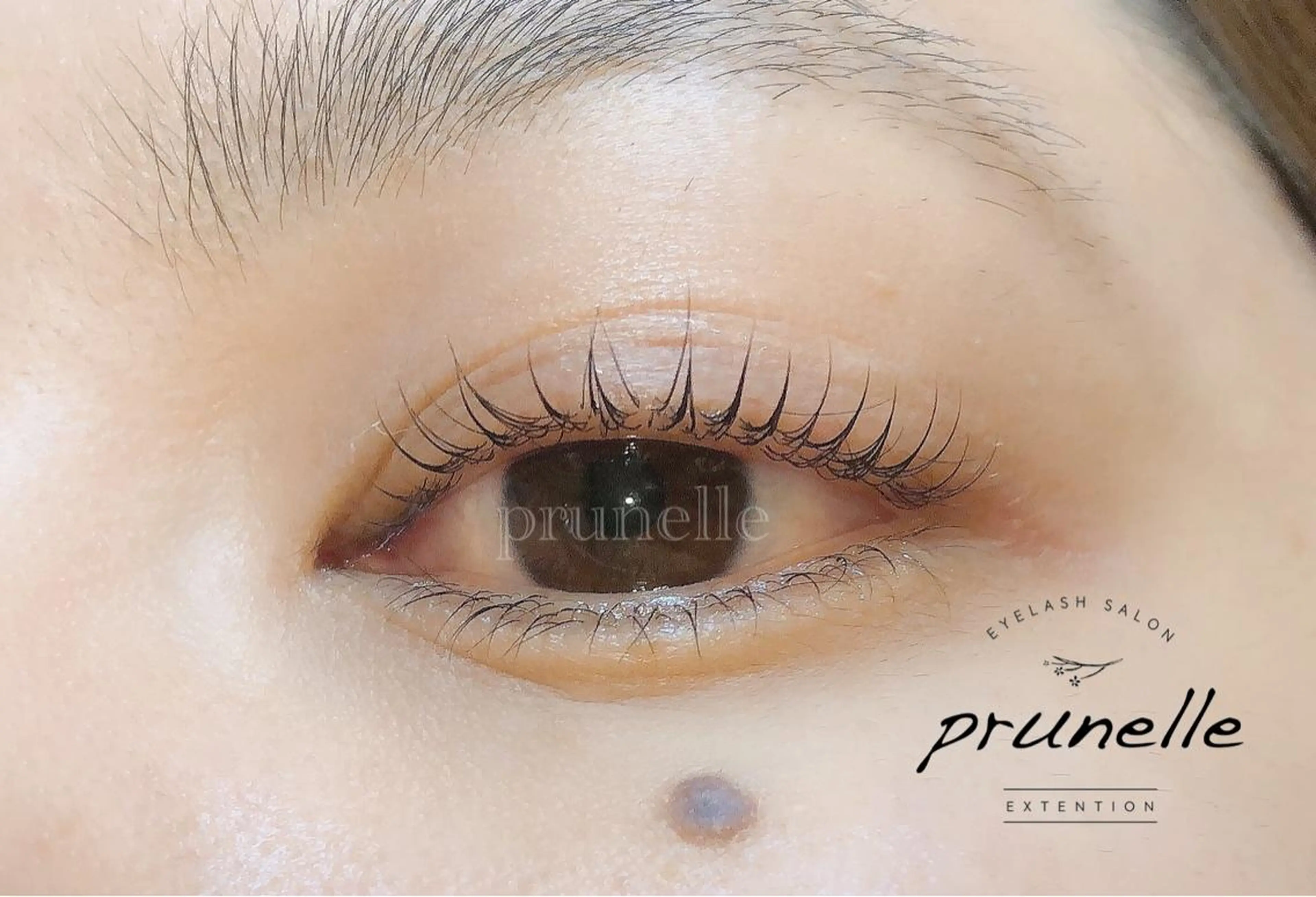 マツエク・マツパ 一重×まつ毛パーマ Le'a first 堺東店所属・レアファースト堺東店 .haruのマツエク・マツパデザイン