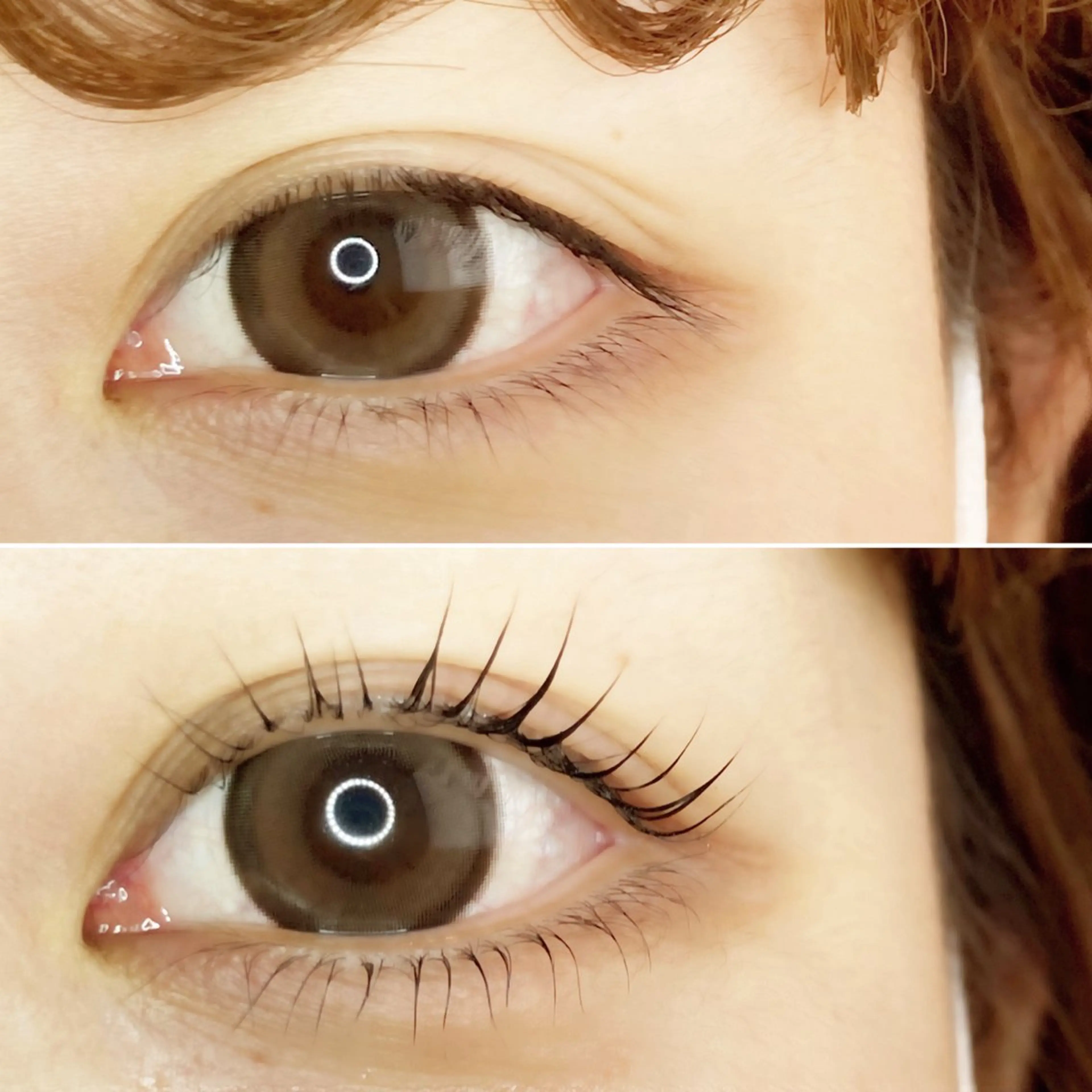 🤍上下マツゲパーマ🤍(パリジェンヌ🉑)+🎁！の写真