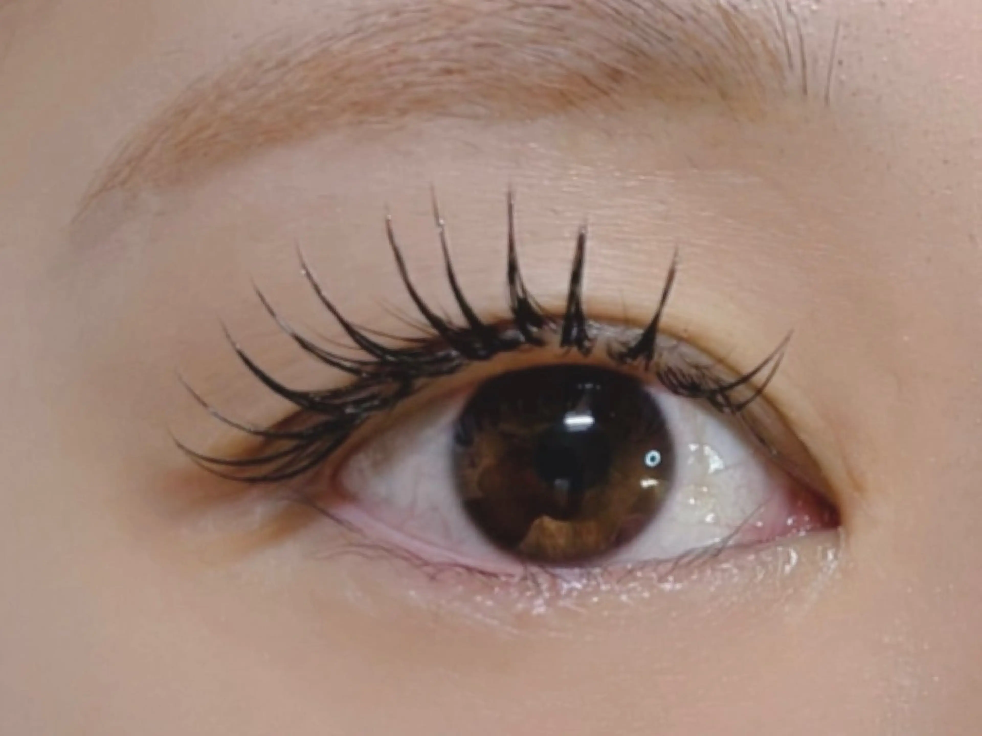 マツエク・マツパ 付け放題 バインドロック 束感まつ毛 フラットラッシュ パリジェンヌラッシュリフト マツエク リナ アメ村のマツエク・マツパデザイン