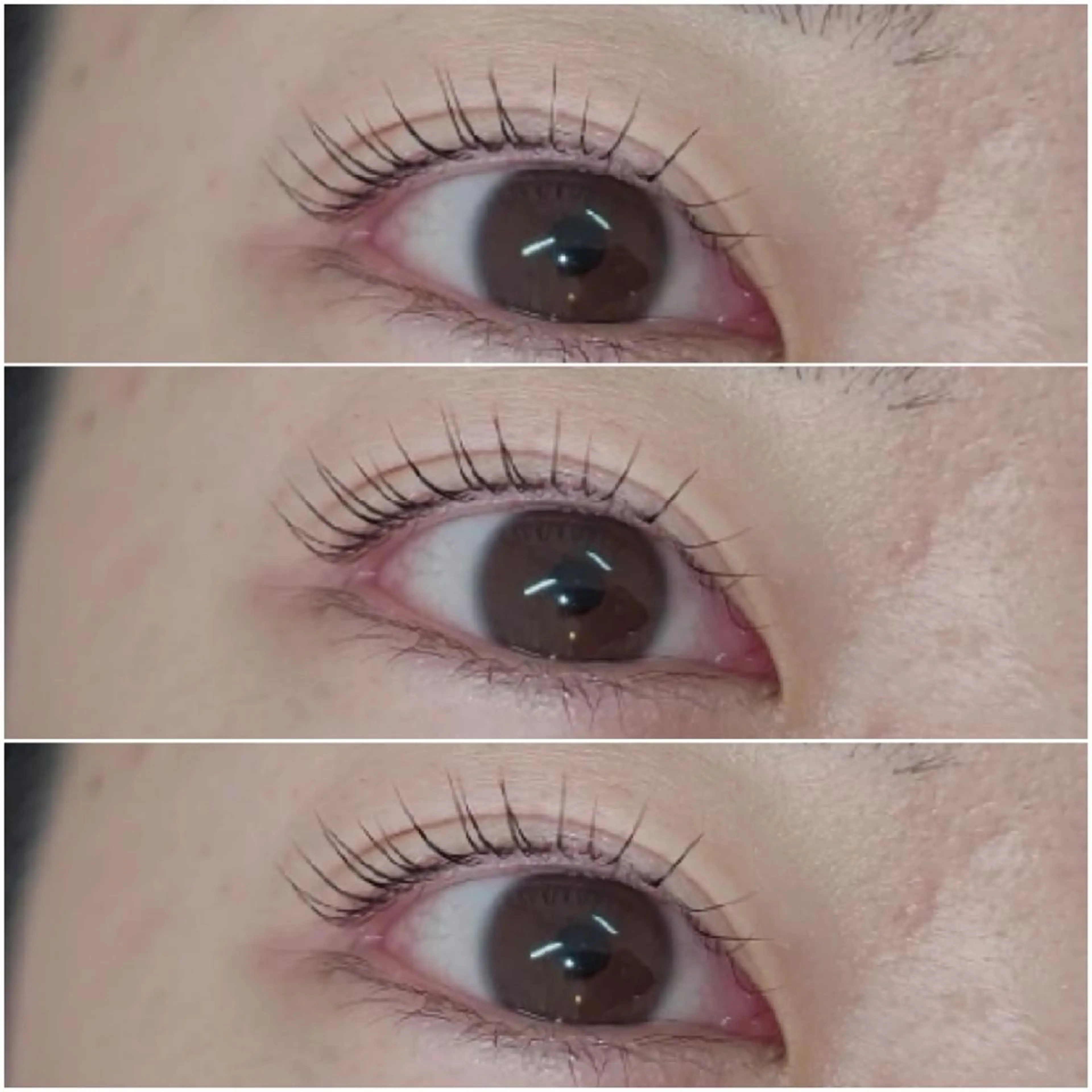 マツエク・マツパ eyelash  aglitter所属・aglitter🌙  _SAYURI_の眉毛・アイブロウイメージ