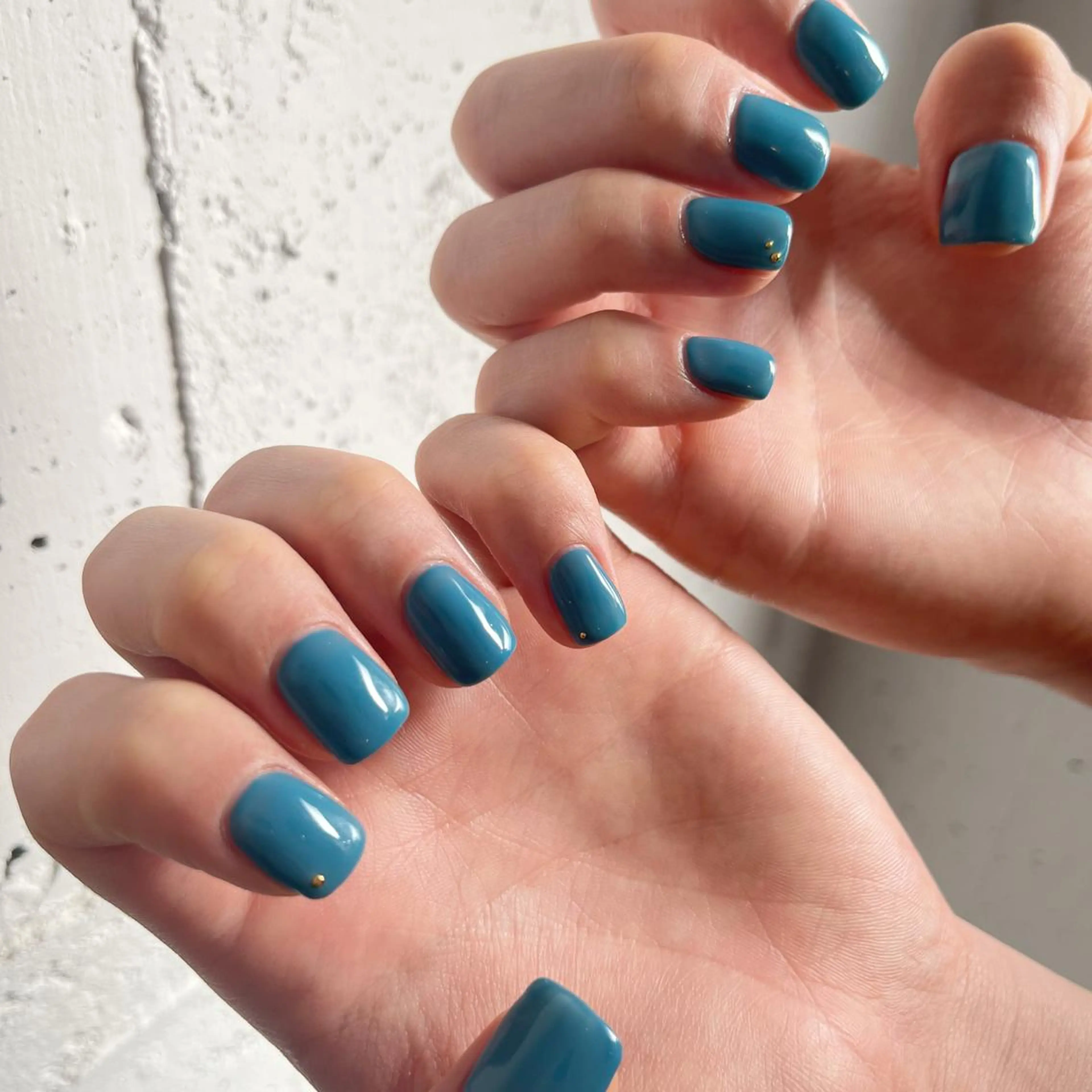 🌼ワンカラーオフ無🌼の写真