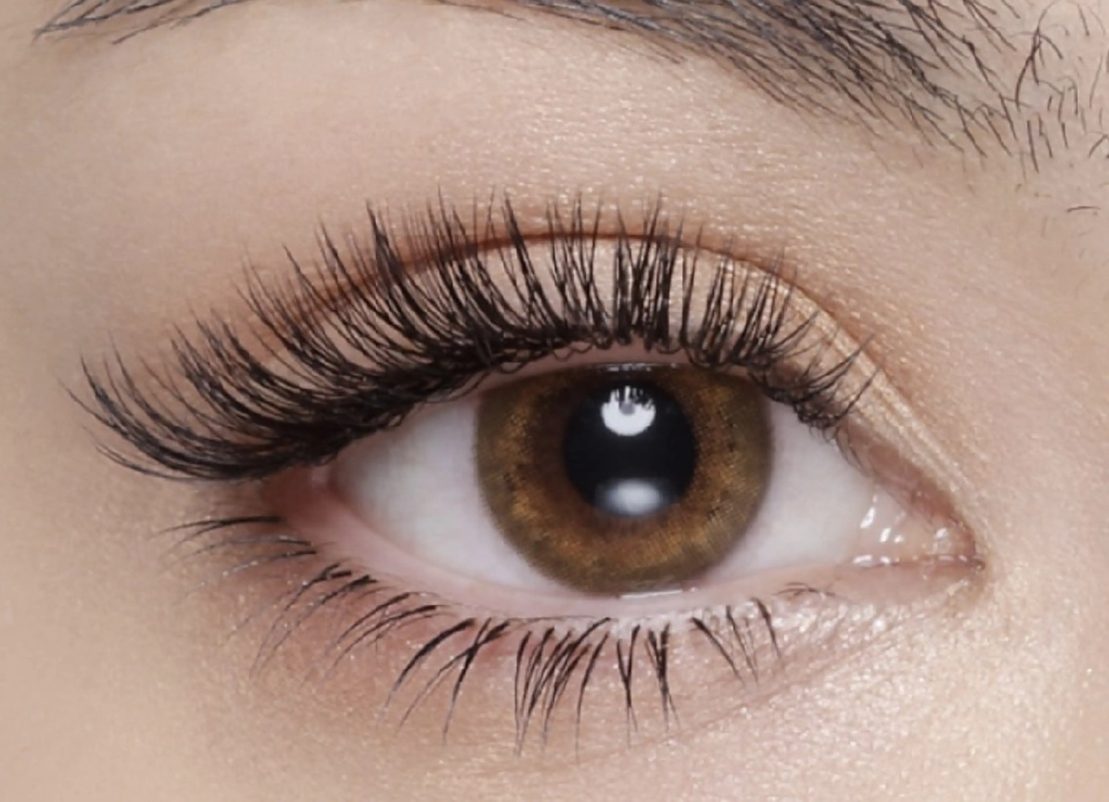 マツエク80束 (bind lock)の写真