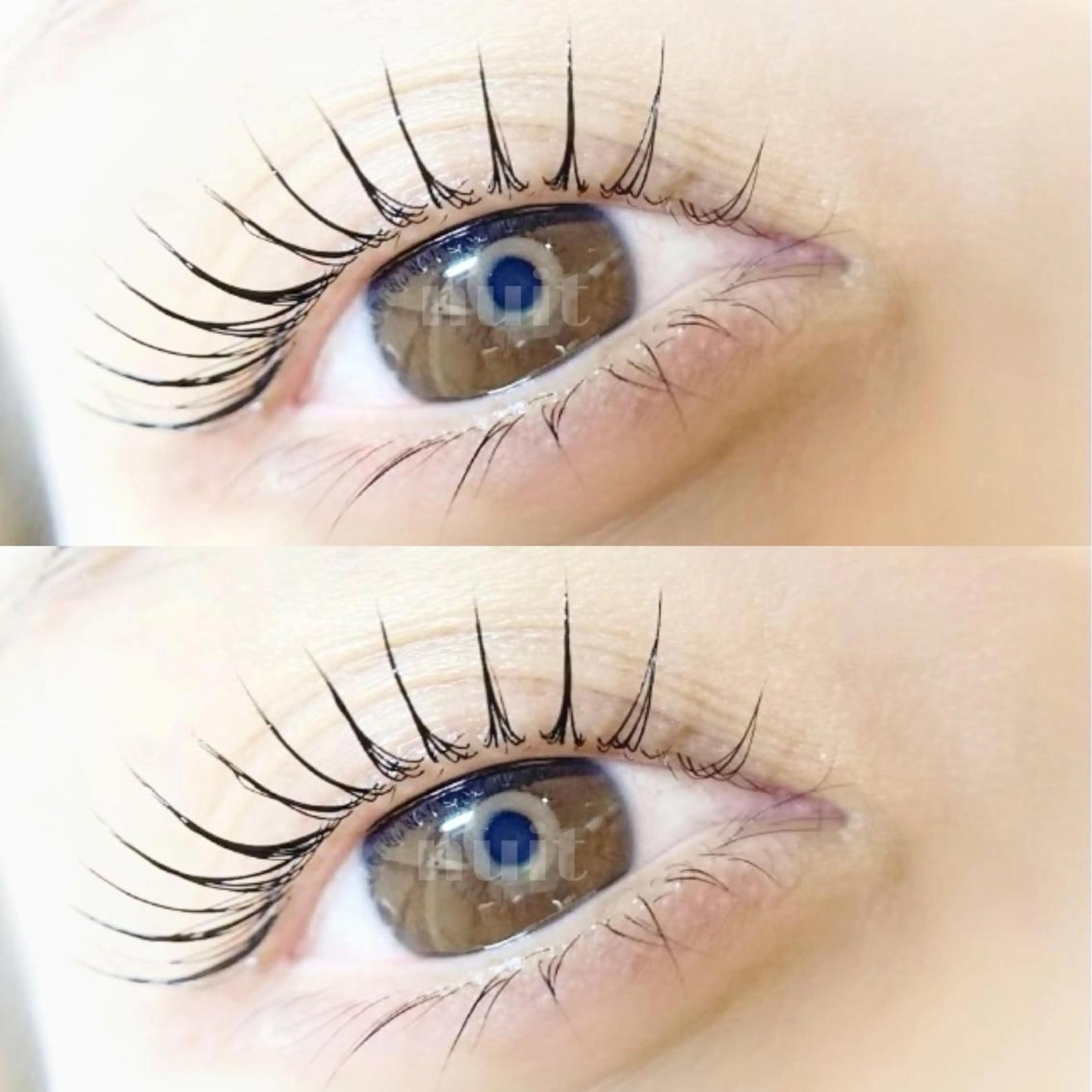 マツエク・マツパ eyelash  salon  nuit【ニュイ】所属・nuit 【ニュイ】 大宮 /　yucaのマツエク・マツパデザイン