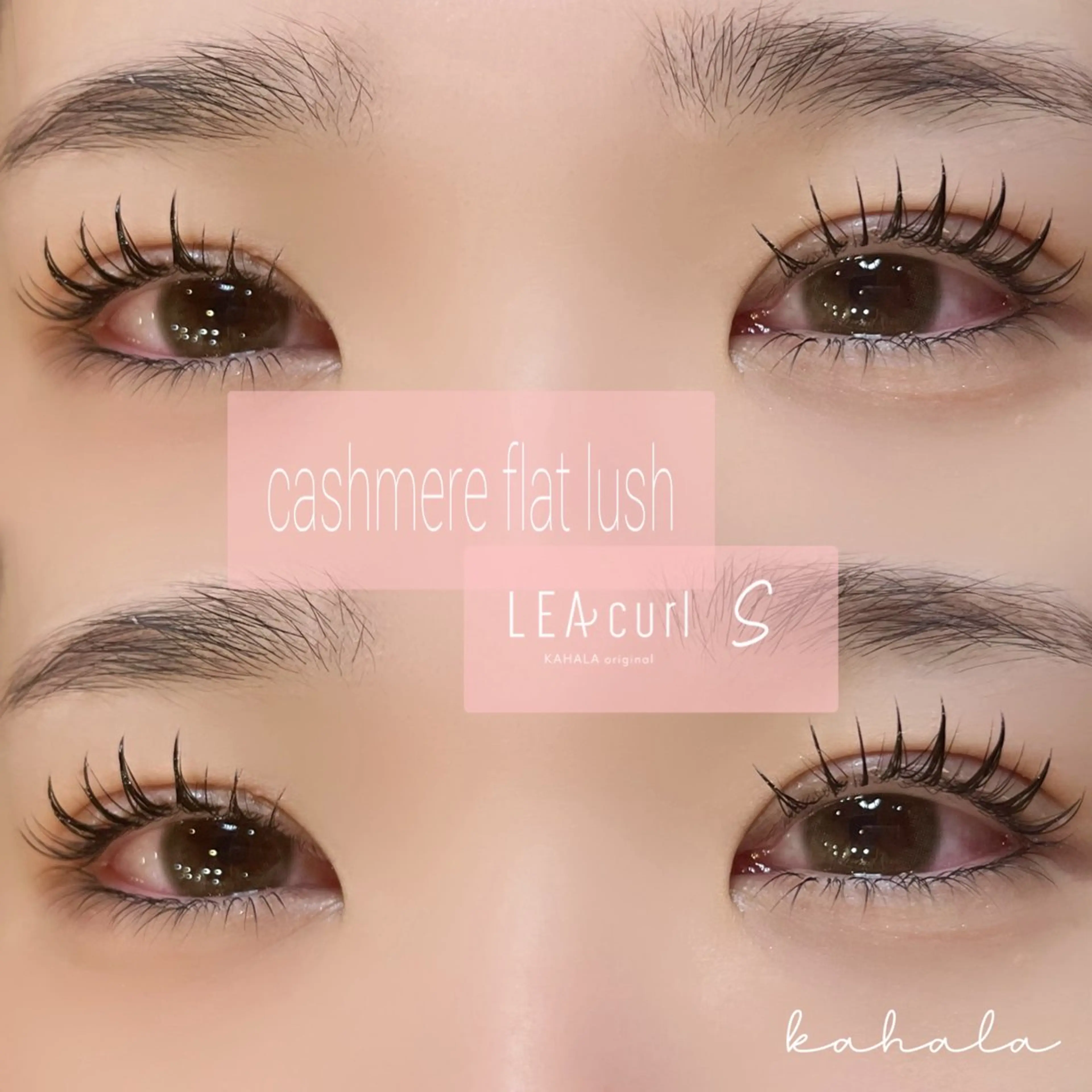 マツエク・マツパ Fujimoto 🦭⸝⋆꙳のマツエク・マツパデザイン