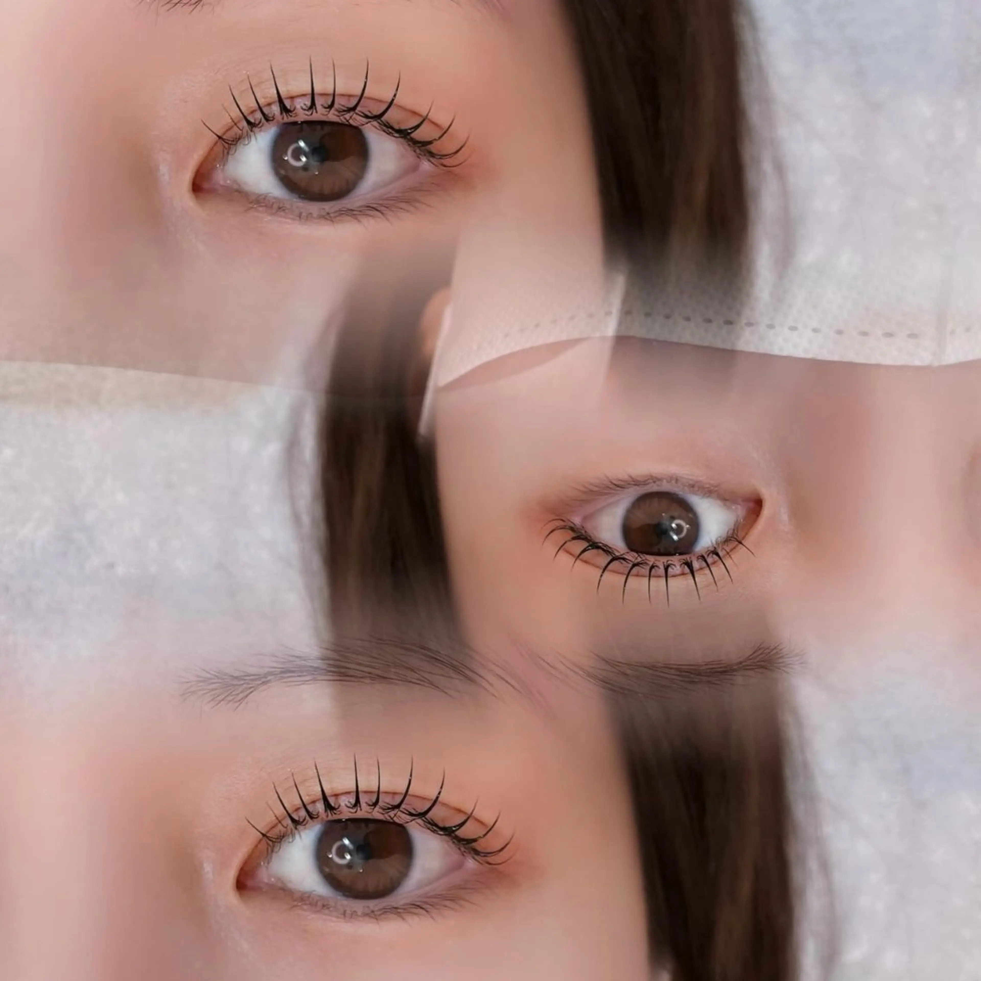 まつ毛パーマ+濃密泡シャンプー🫧新規¥5,500/再来¥6,600の写真