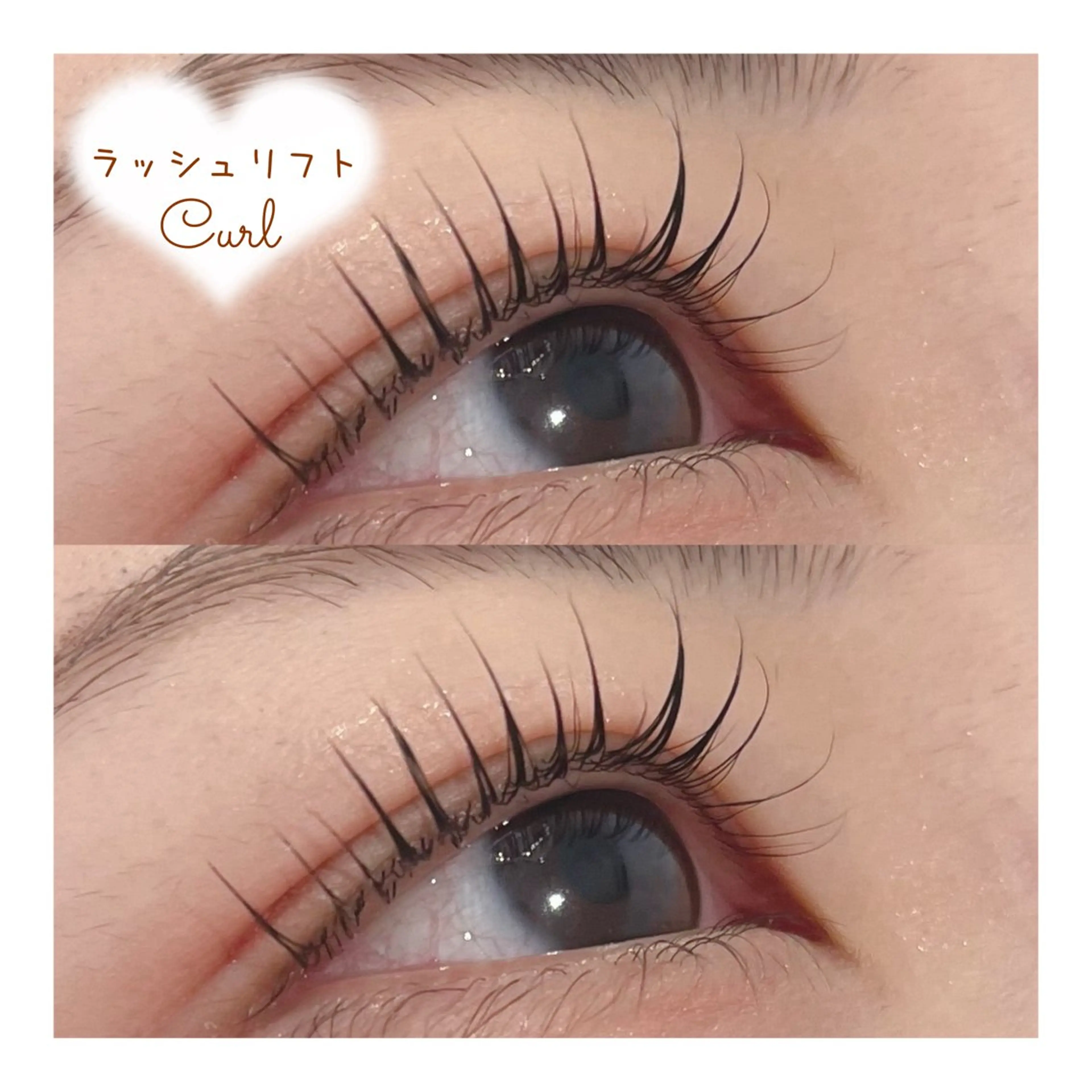 パリジェンヌorラッシュリフト  上   (トリートメント込)の写真