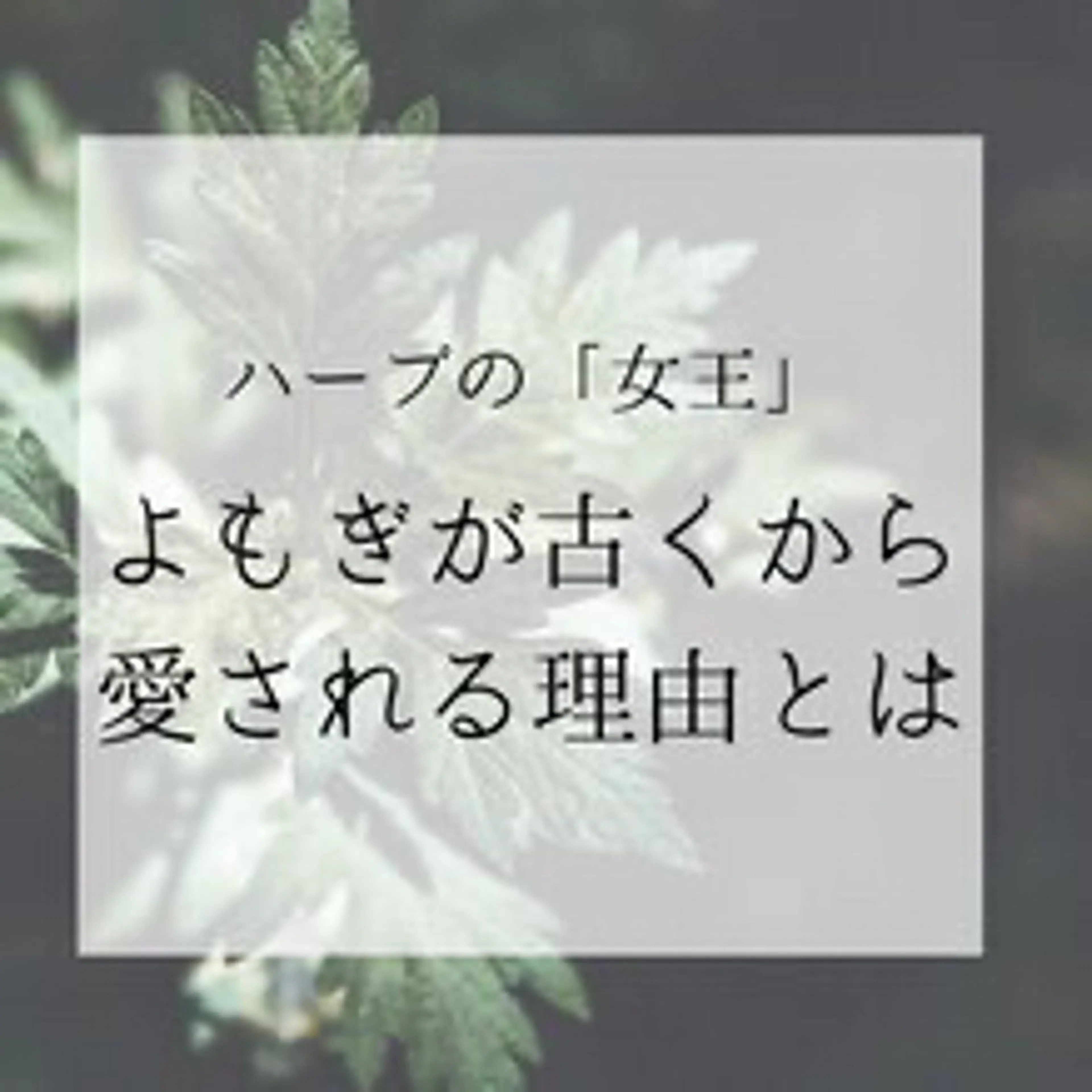 【12月限定】スキマ時間に・よもぎ蒸し40分◆短時間で極上よもぎ蒸し◆¥2,970の写真
