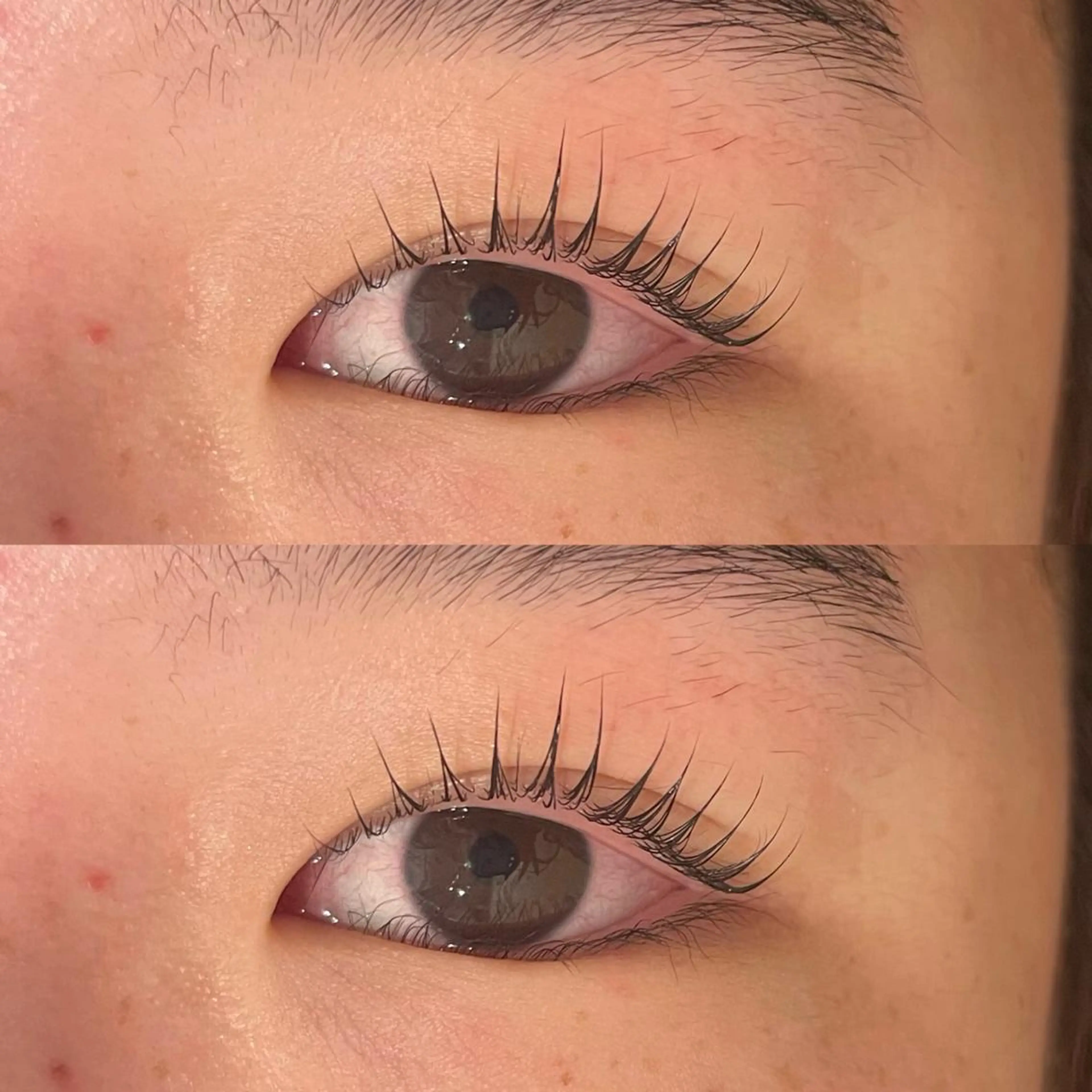 ☁️パリジェンヌ☁️♡コーティング付き♡の写真