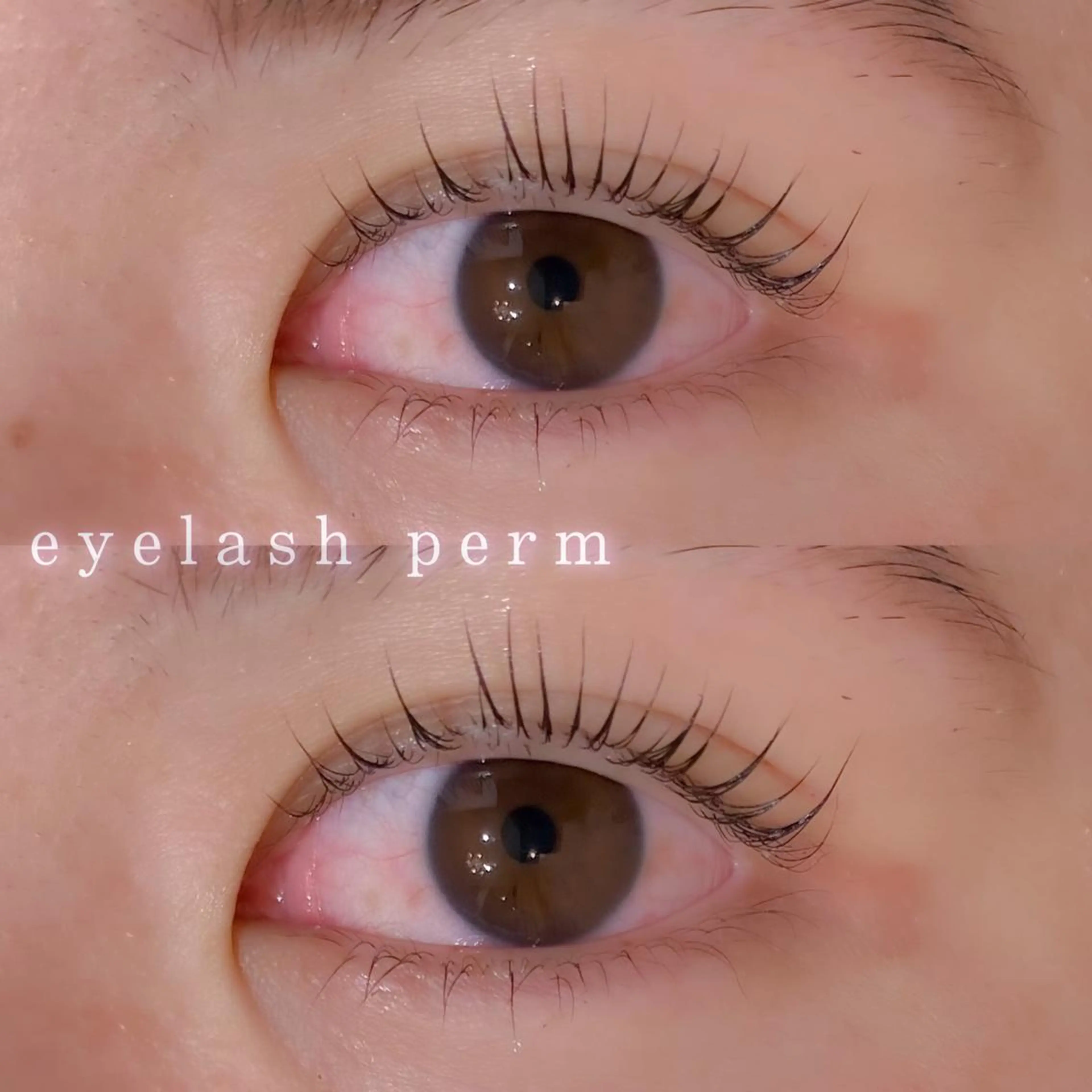 マツエク・マツパ ドットネイル by maison de charme所属・🎀 AYANEのネイルデザイン