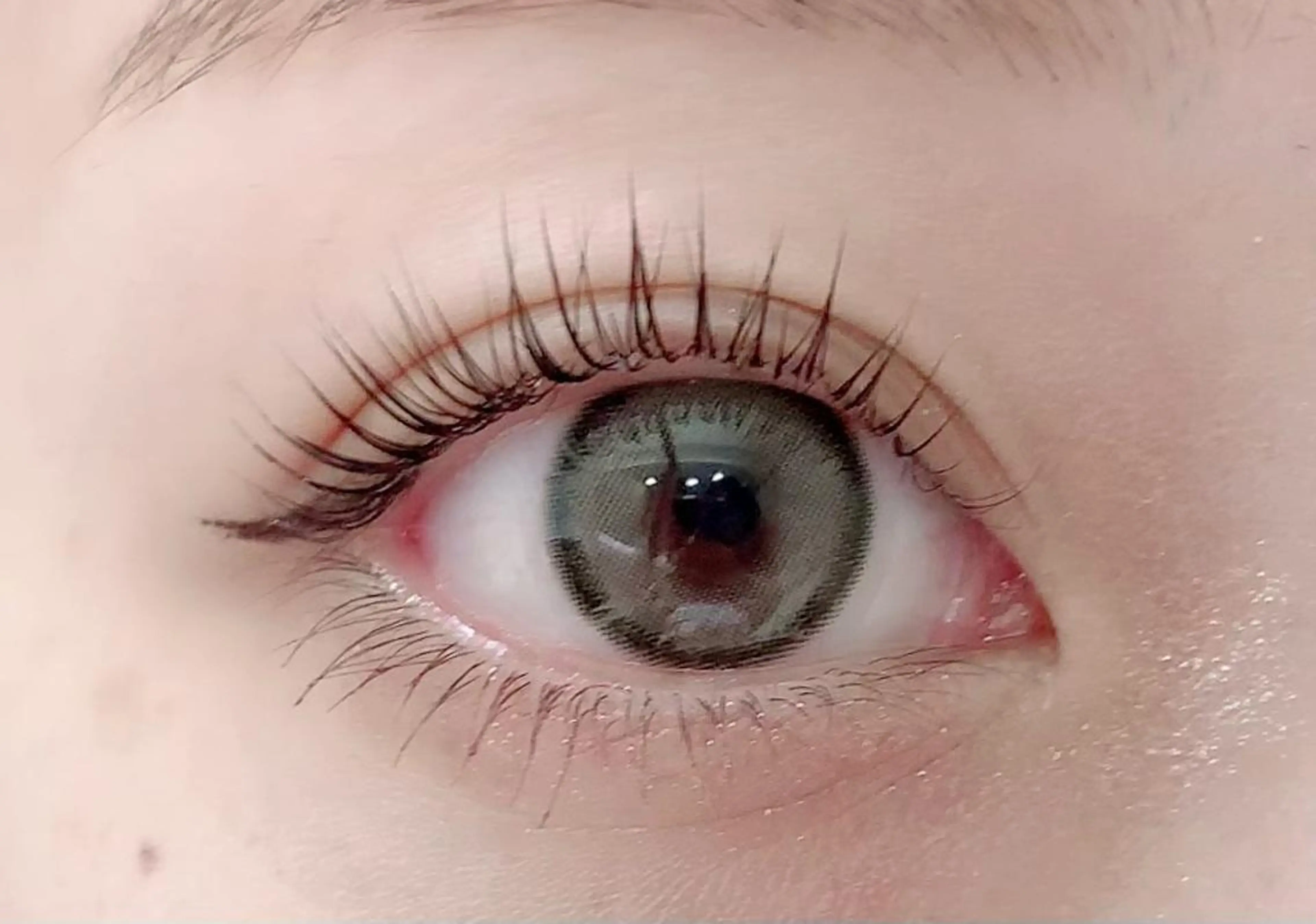 1番人気🕊ラッシュリフト✨美容液コーティング仕上げ✨目の形やまつ毛の長さに合わせたパーマ✨の写真