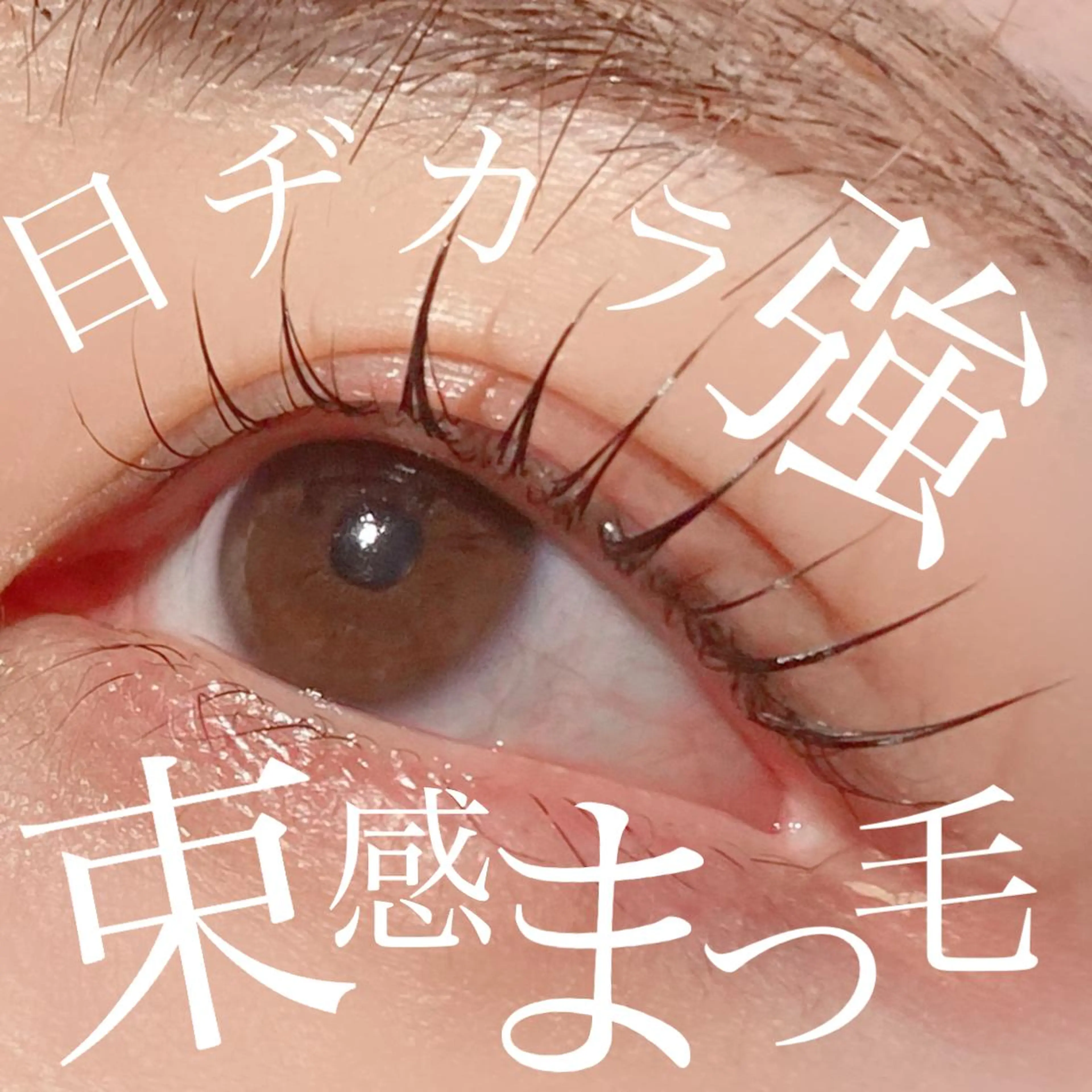 マツエク・マツパ filo所属・三谷 知代のマツエク・マツパデザイン