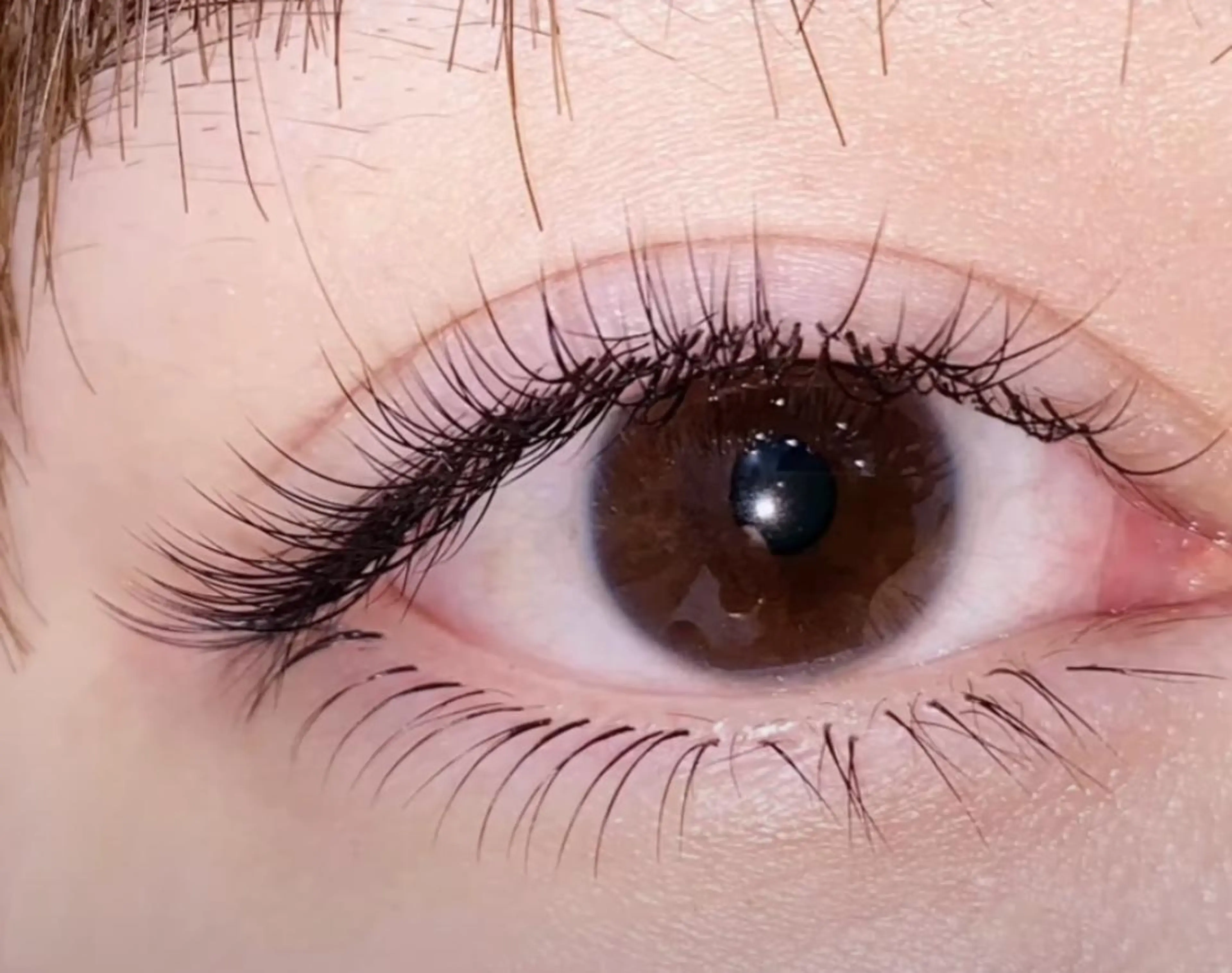 マツエク・マツパ Cute B e au t yのマツエク・マツパデザイン