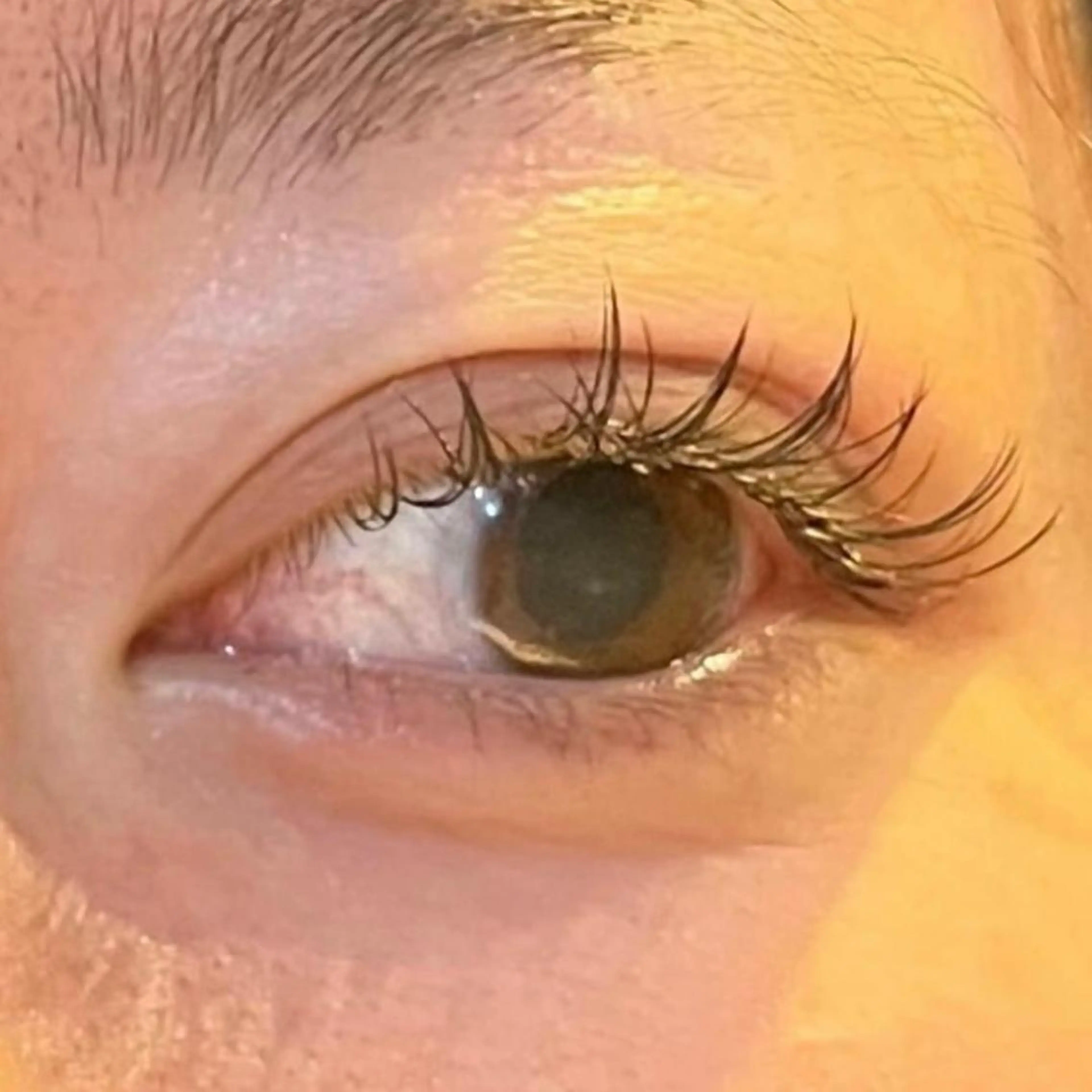 【👁️マツエクU30限定(​〜​120本)】［今だけminimo限定🎀］韓国風束間コーティング仕上げ🇰🇷の写真