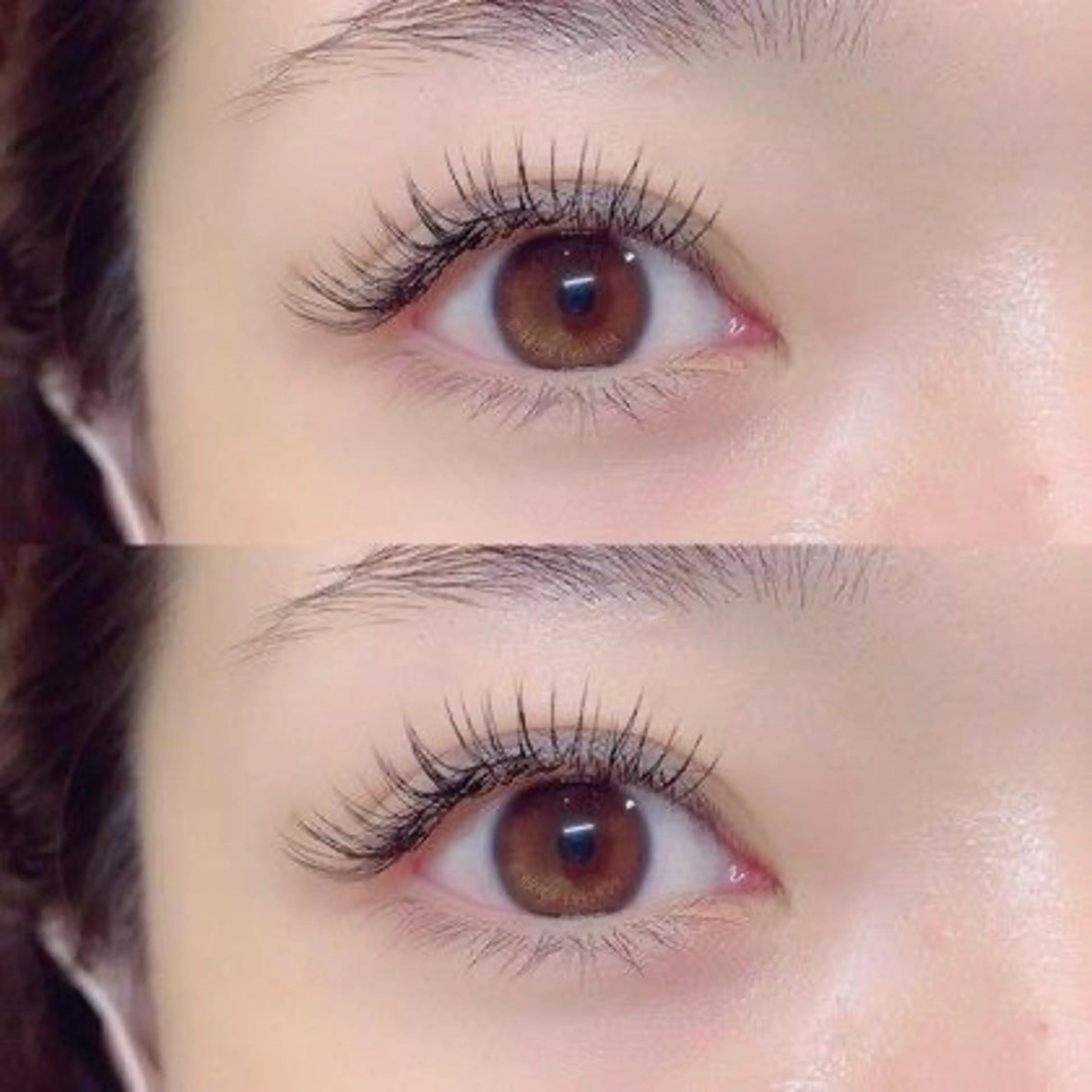 【バインドロック60束300本】の写真