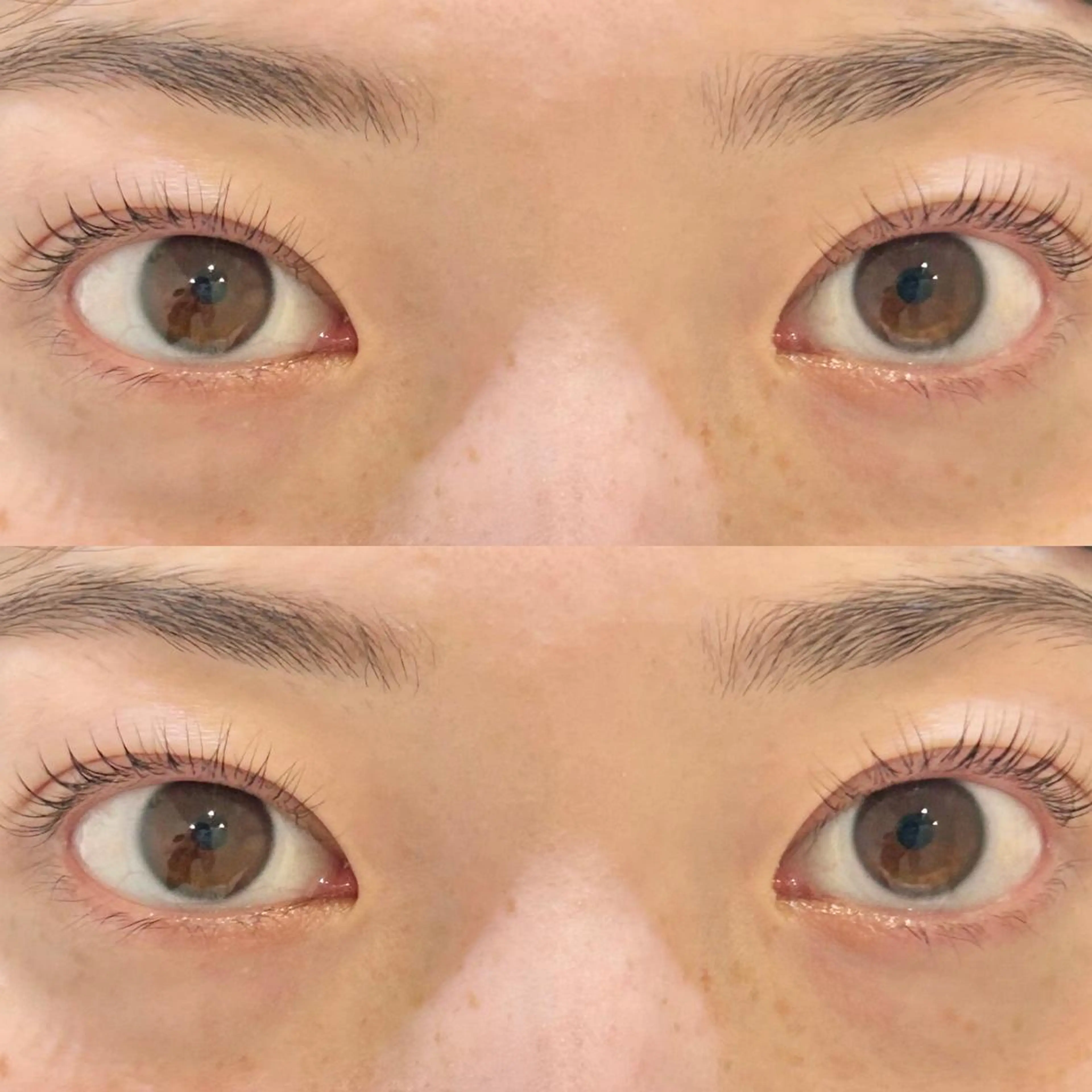 無料まつ毛パーマモデル🫧の写真