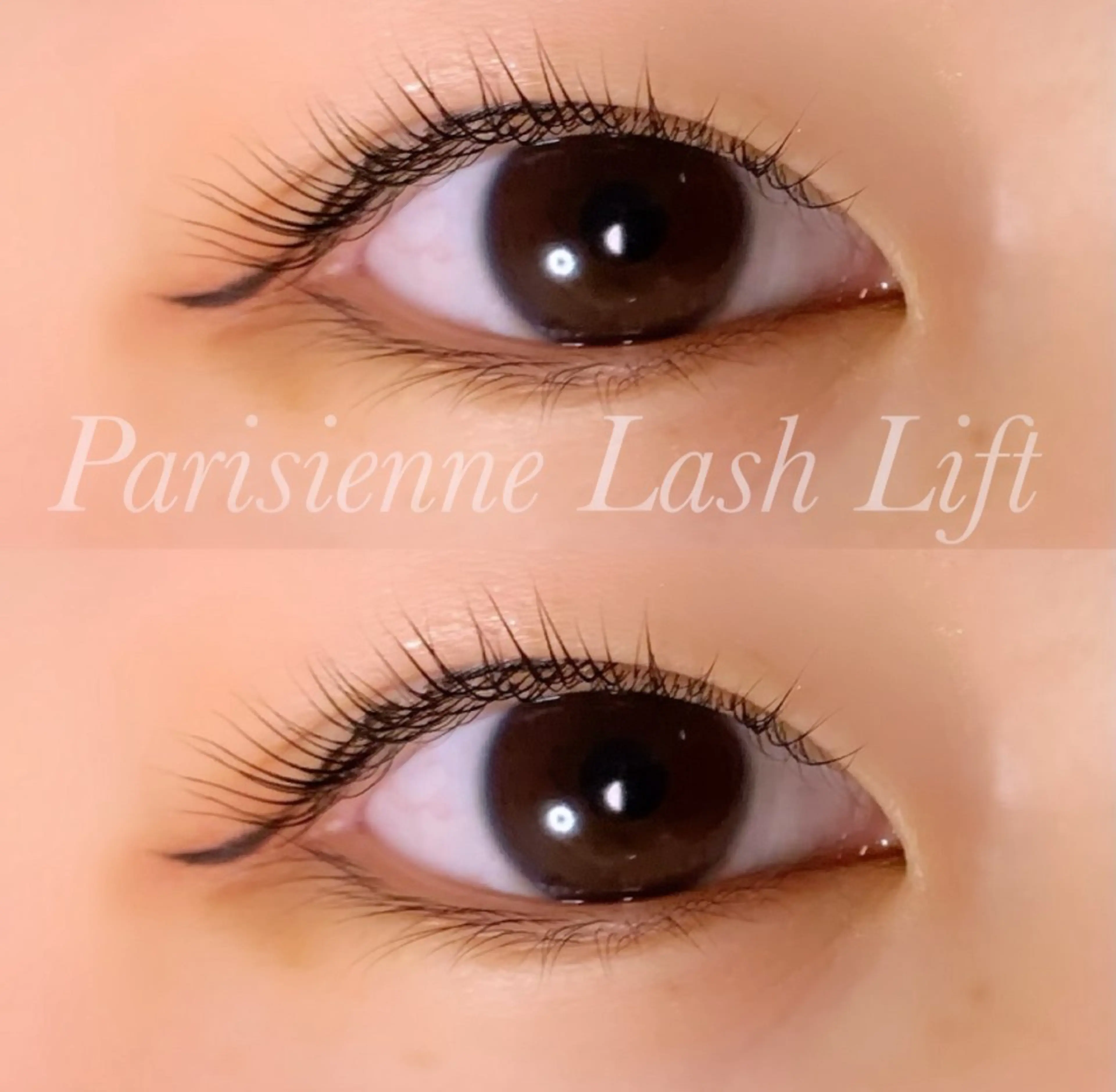 マツエク・マツパ パリジェンヌラッシュリフト マツパ Ayumi.pro 🍆N《4階》のマツエク・マツパデザイン