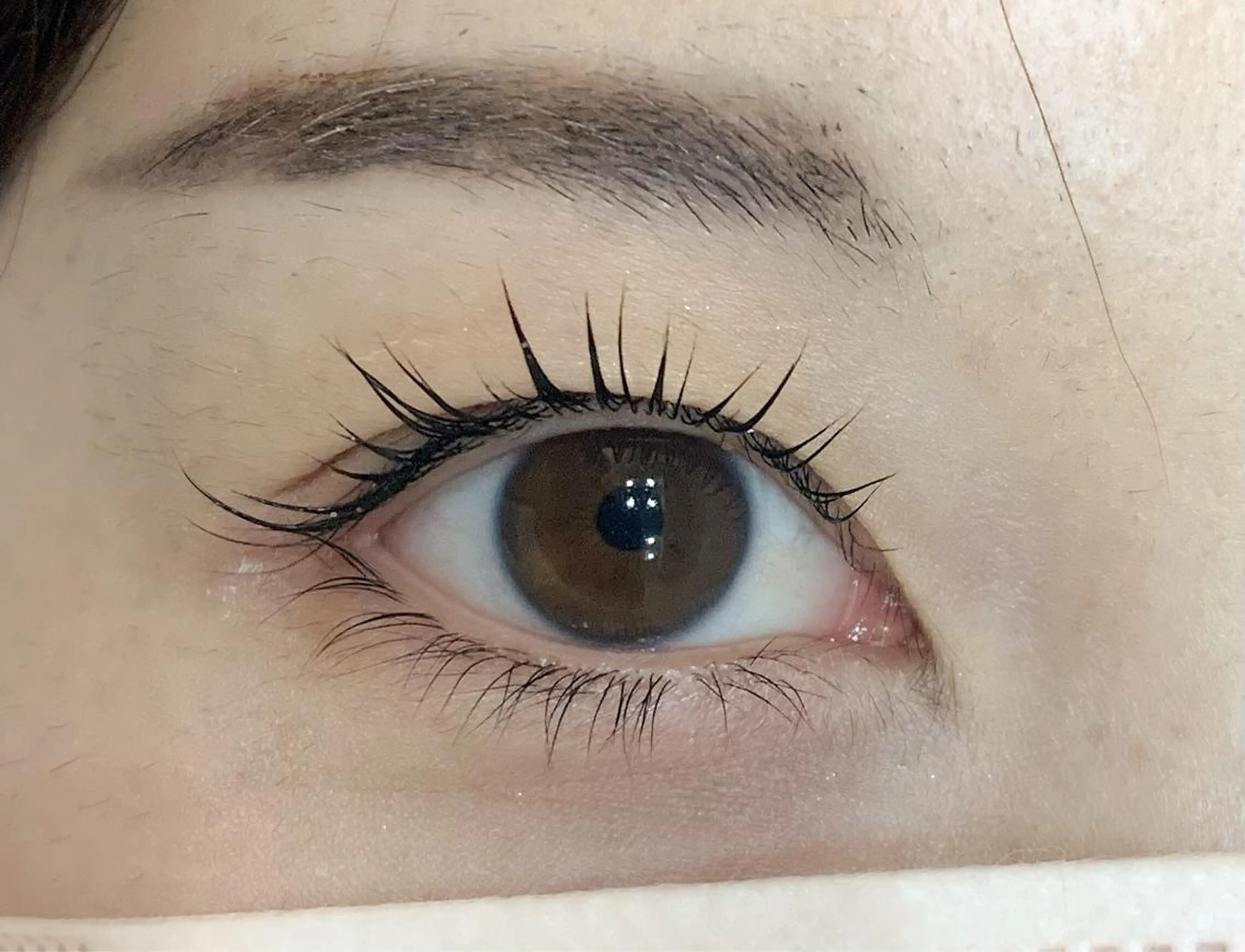 マツエク・マツパ マツパ Beaute MOTOKOのマツエク・マツパデザイン