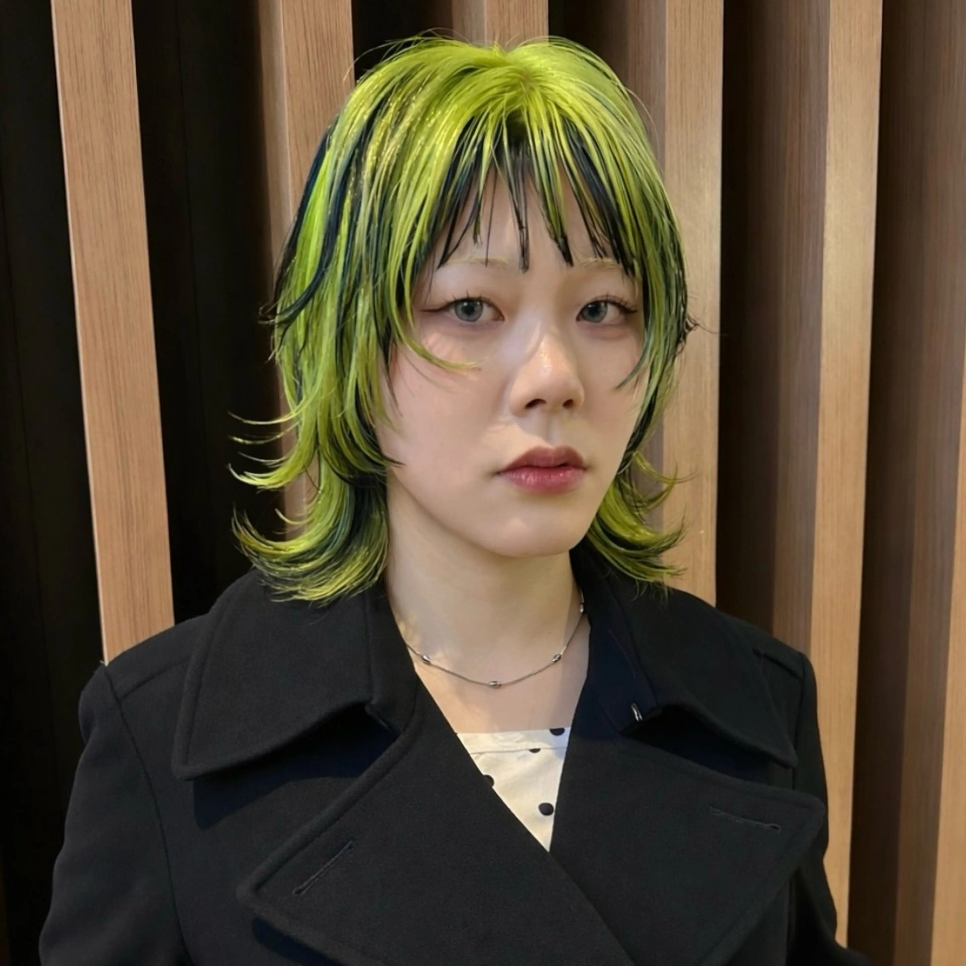 ミディアム カラー 黒髪 デザインカラー ウルフカット カット ヘアカラー トリートメント ヘアセット ハイトーン/ブリーチ 似合せカット/パーマのヘアスタイル