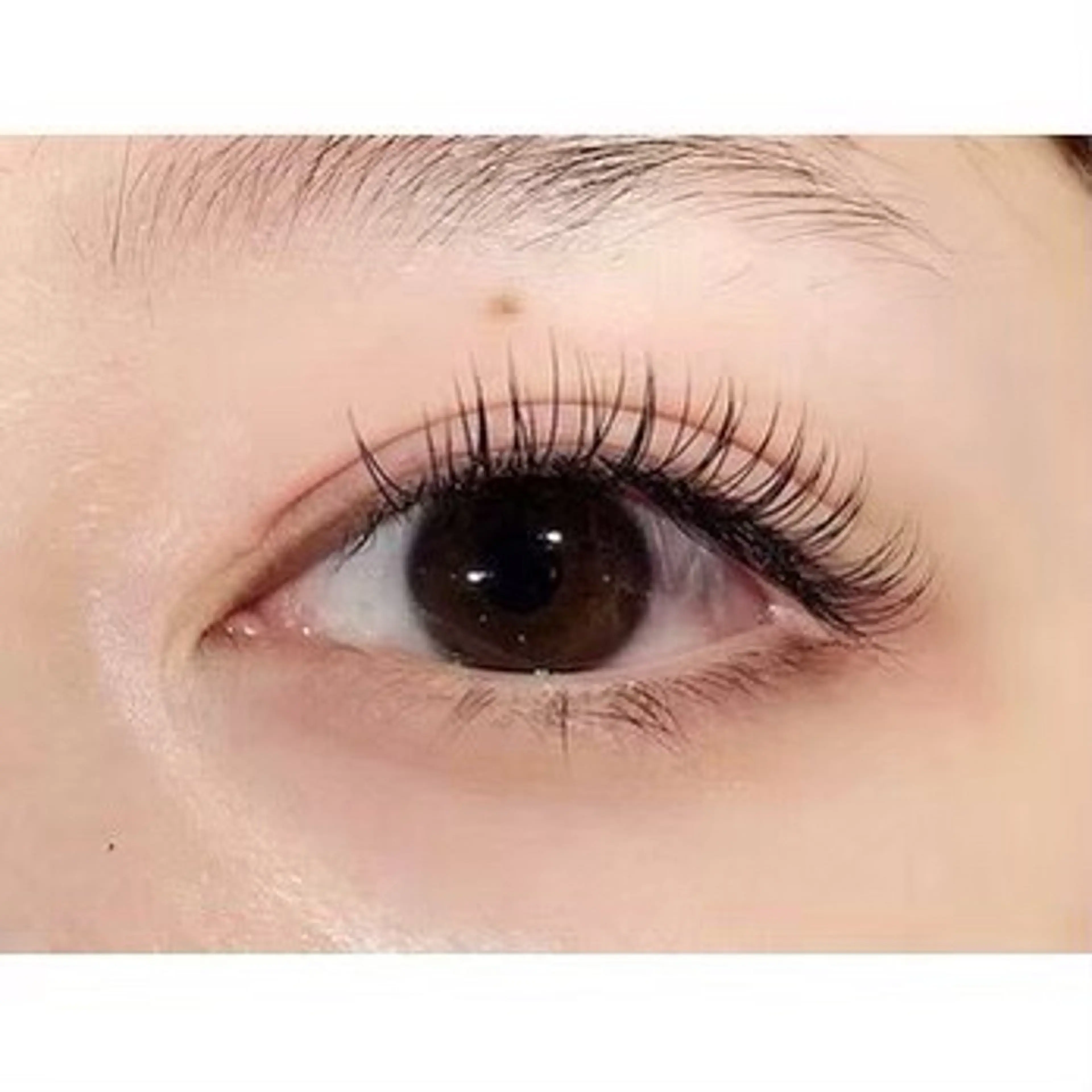 マツエク・マツパ LOVEST所属・🐾アイリスト🐾 石橋妃織のマツエク・マツパデザイン