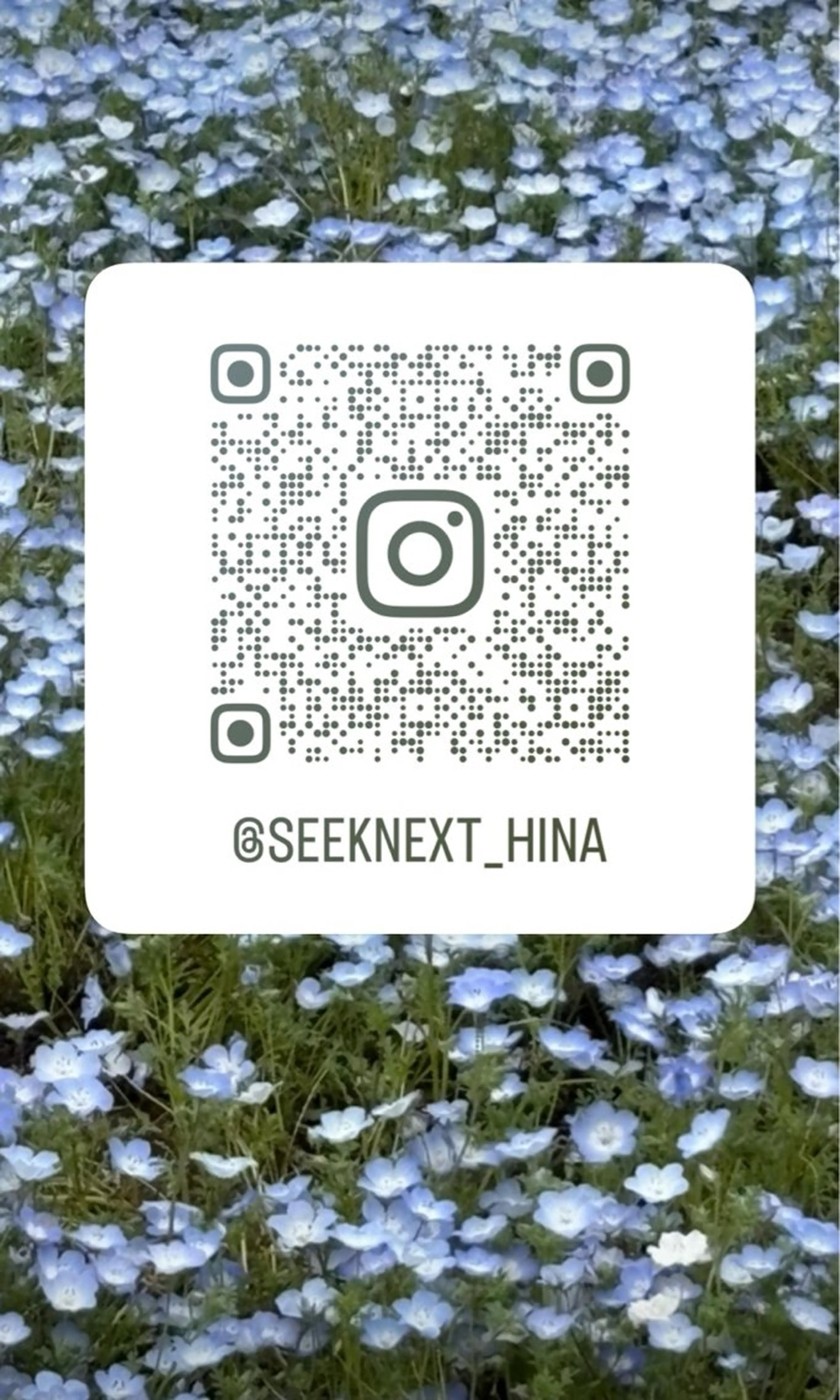 ✩seek next ：HiNA🐣ྀིのヘアスタイル