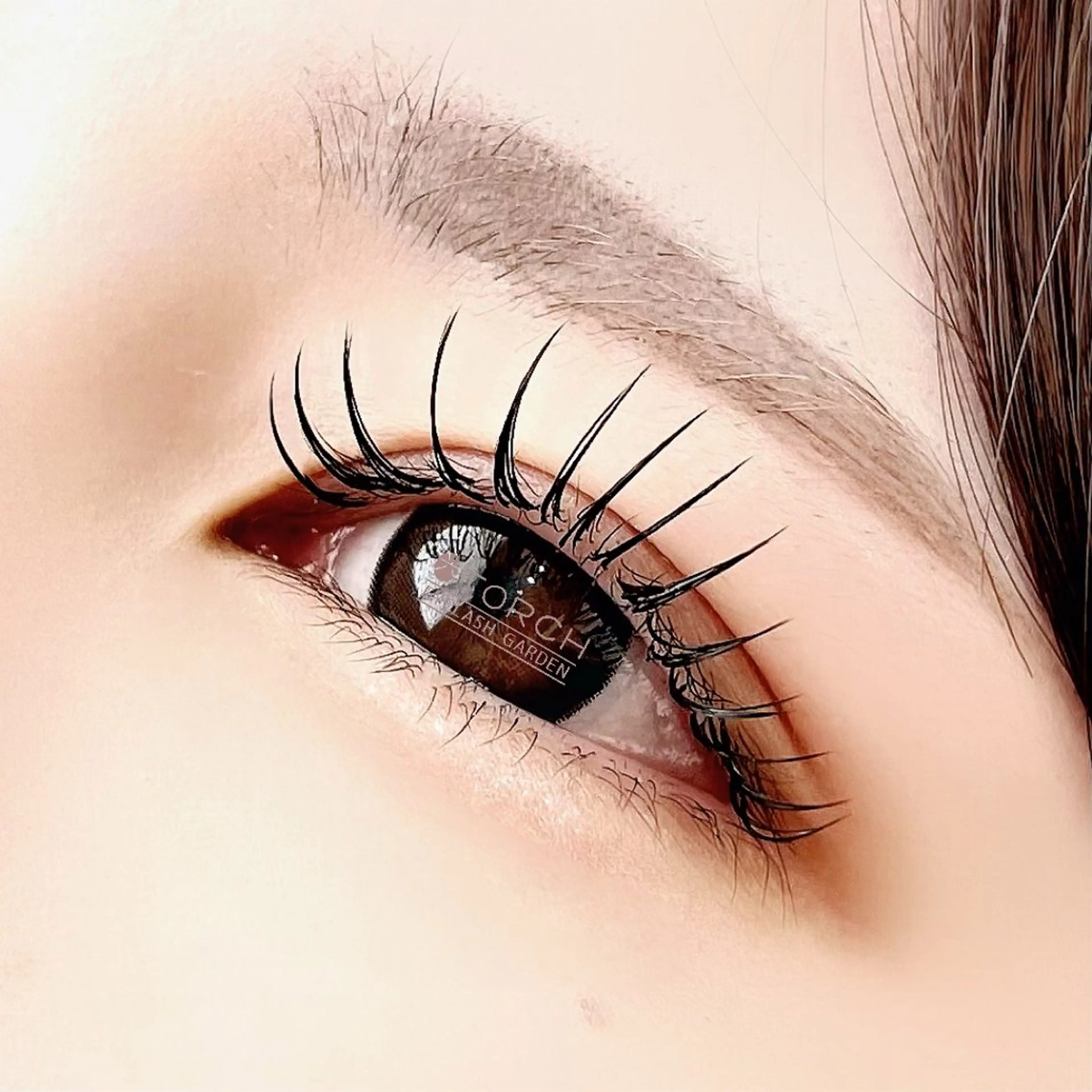 ☺︎︎ 特別価格 ☺︎︎ ダブルフラットラッシュ60束 ¥5005の写真