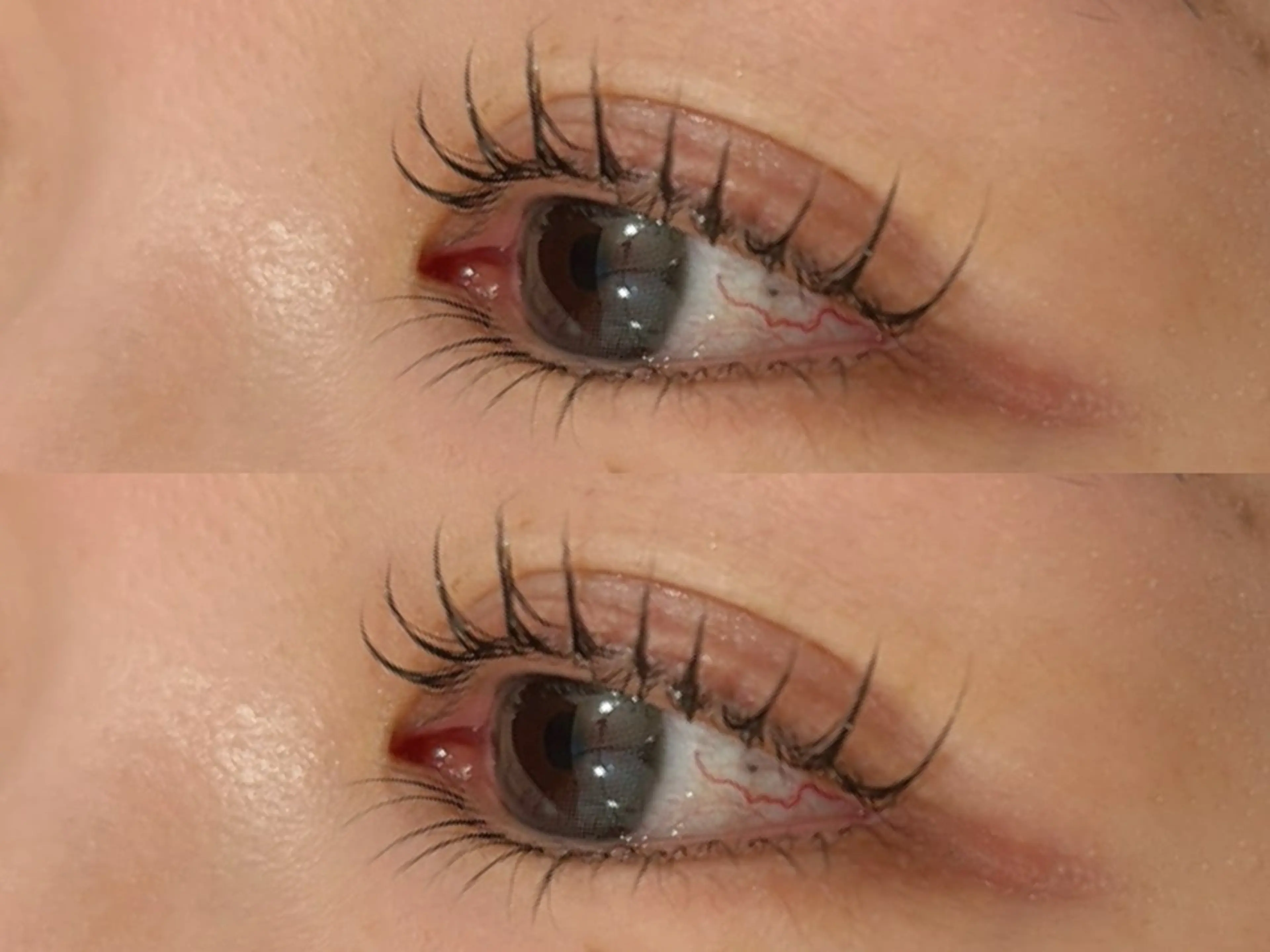 ラッシュリフトカール🦋🫧の写真