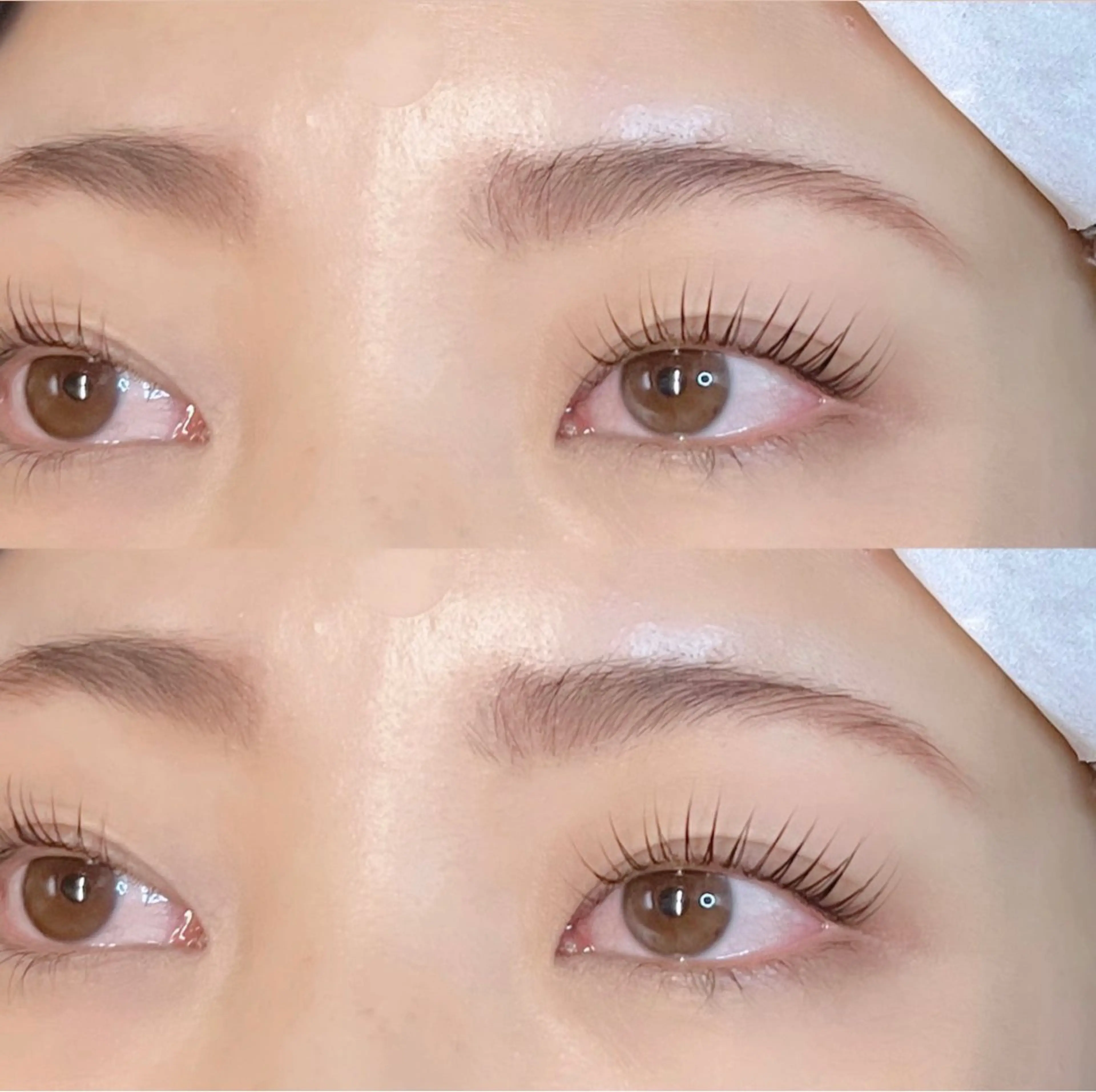 マツエク・マツパ マツパ ITO  渡邉柚花 /束感/眉毛のマツエク・マツパデザイン