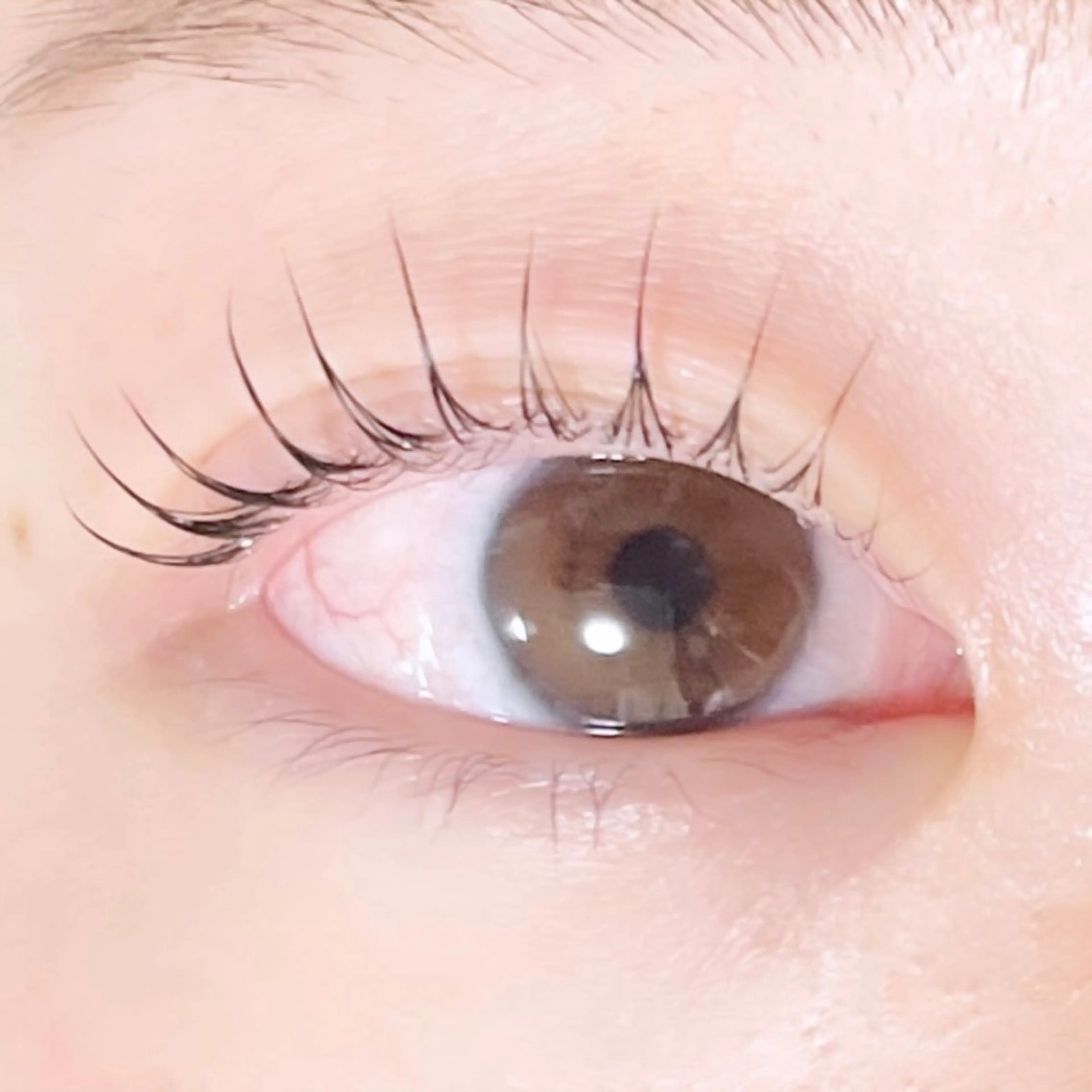 マツエク・マツパ TAKEO🖤 マリーテレジア藤が丘のマツエク・マツパデザイン