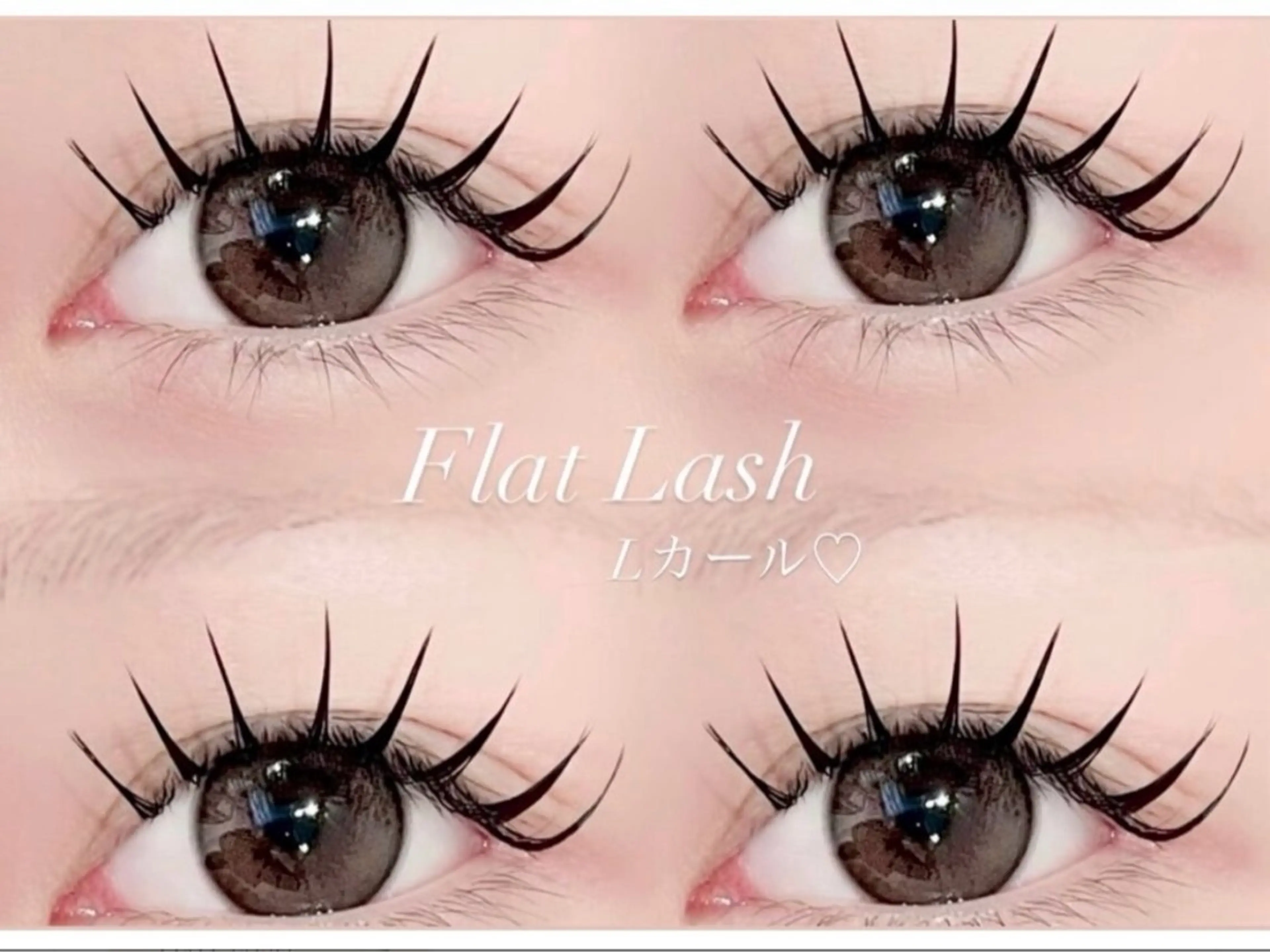 新規🤍flatlash Lカール140本🤍の写真